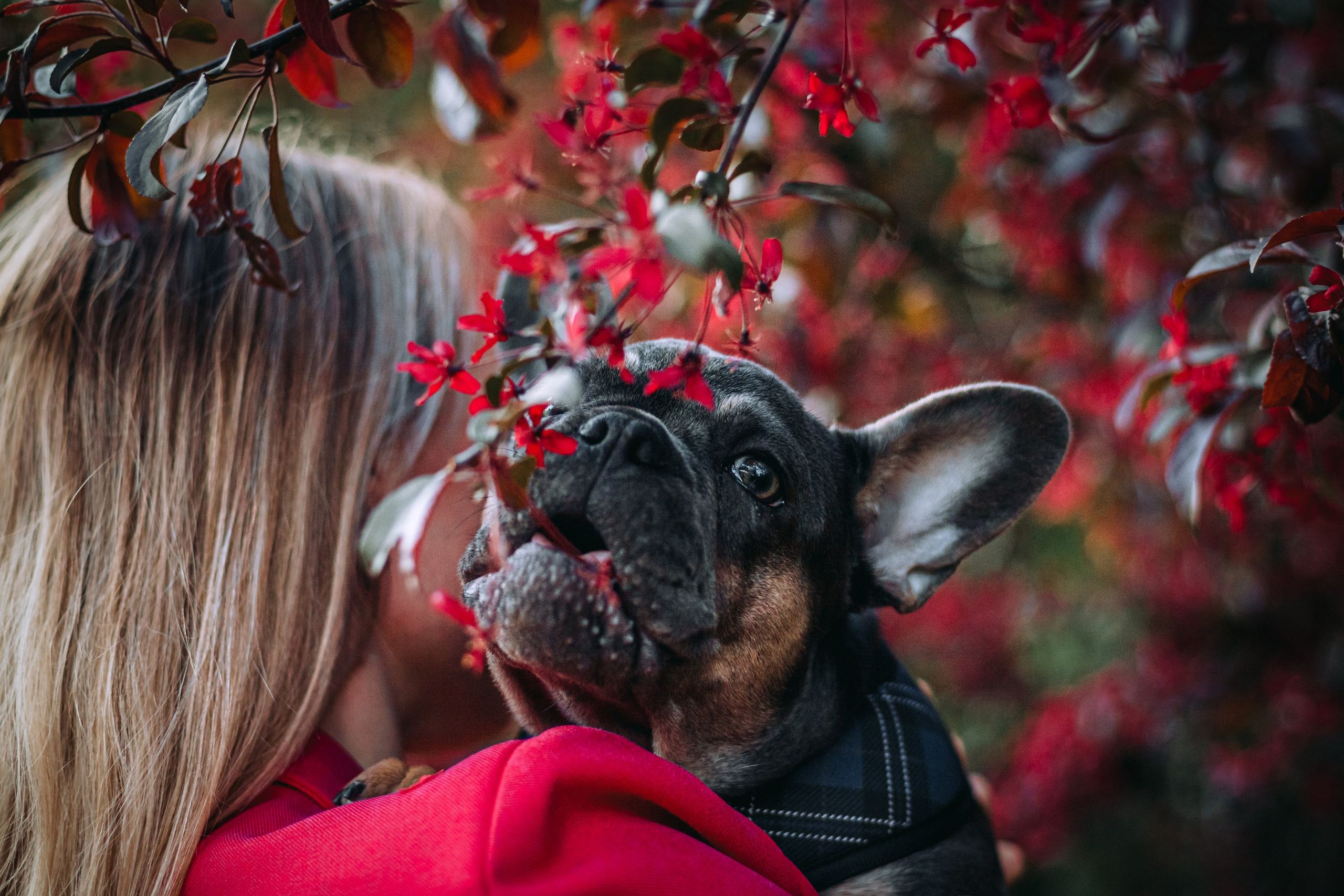 Даша и Мишель. Фотограф-анималист Татьяна Степанова