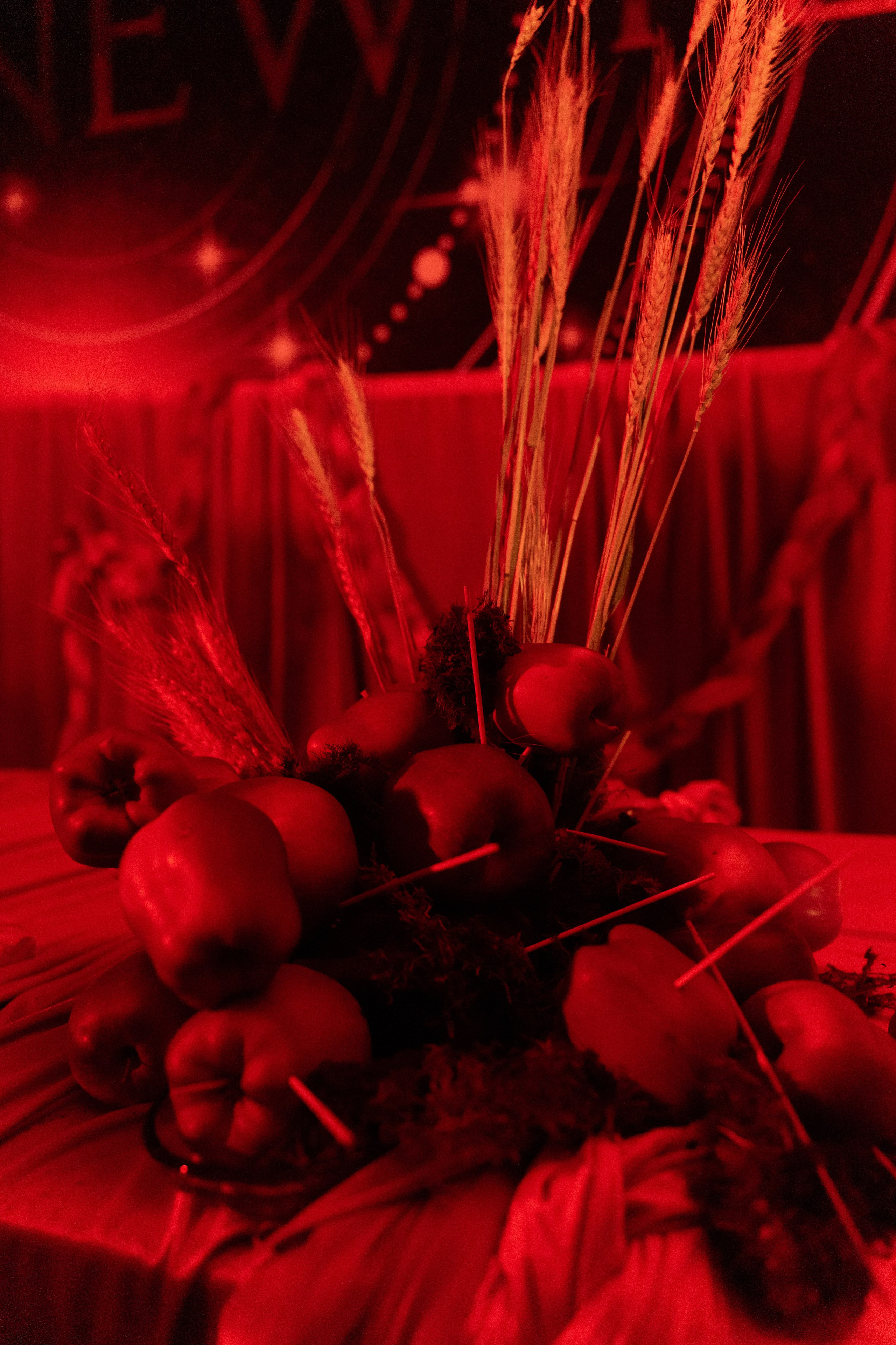 Leman. Фотограф Дмитрий Алехин. Репортажная съемка мероприятий в Москве