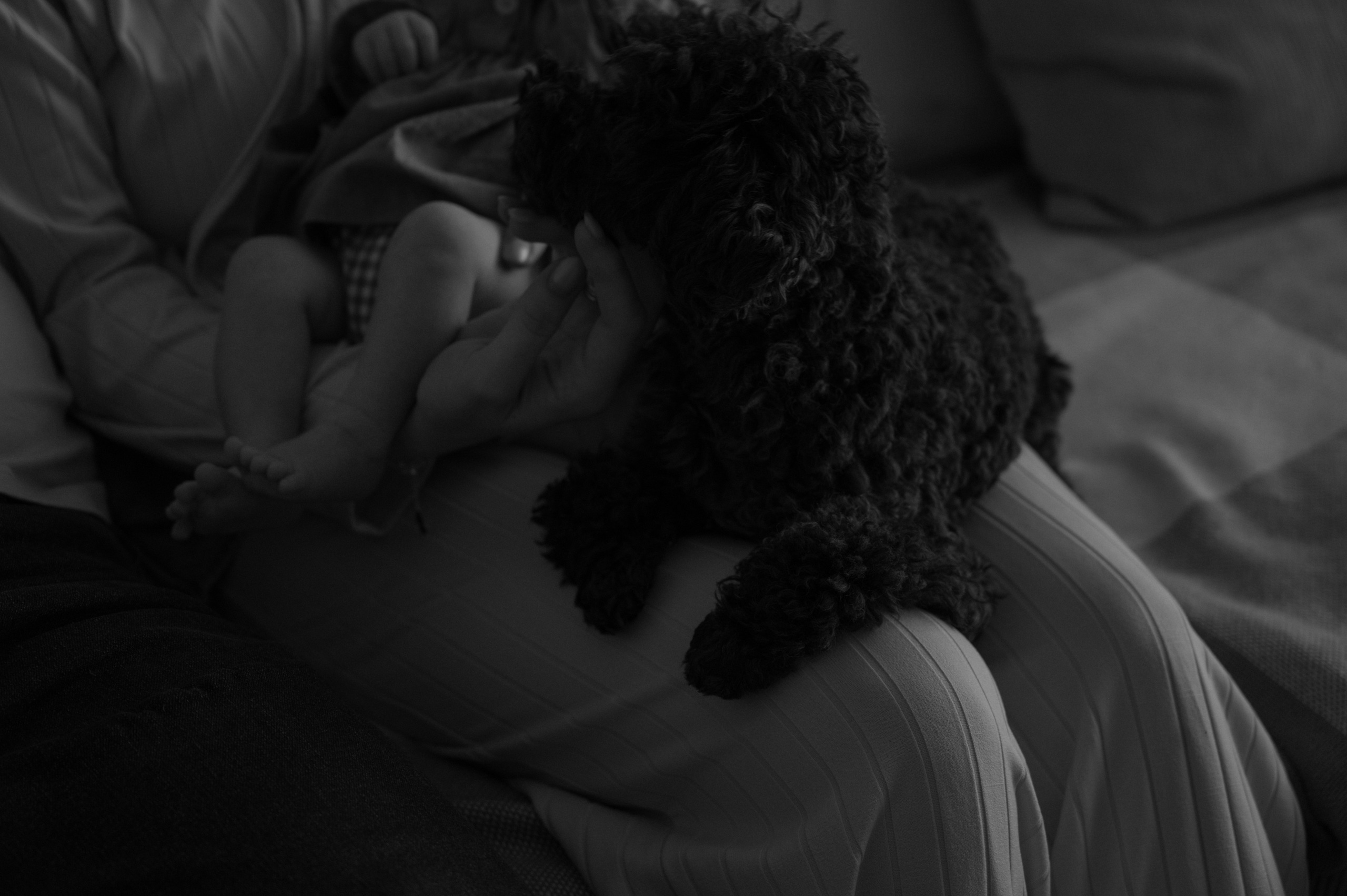 Happy New Year. Фотограф Ким Ангелина