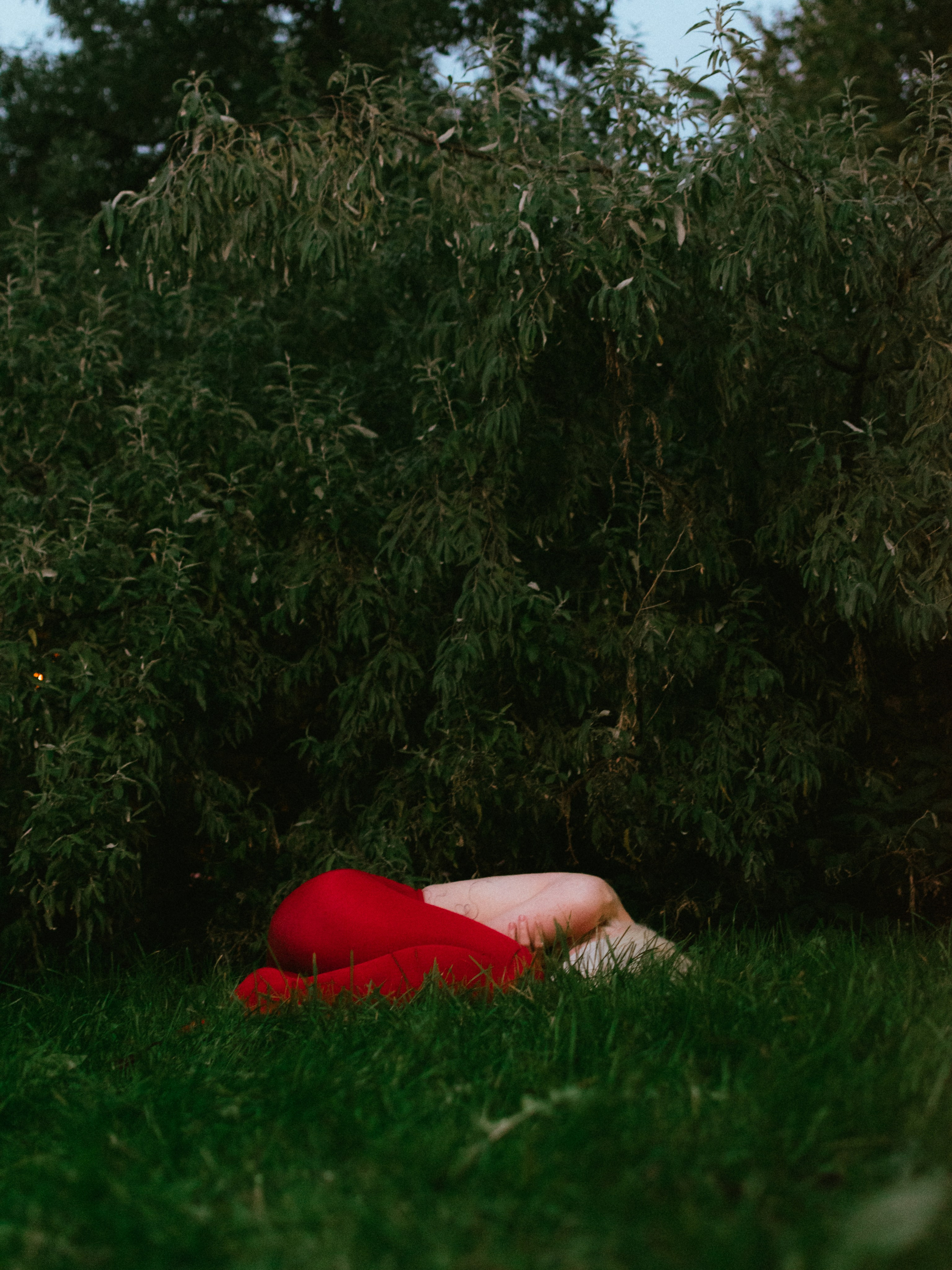 Лиза. Фотограф Санкт-Петербург