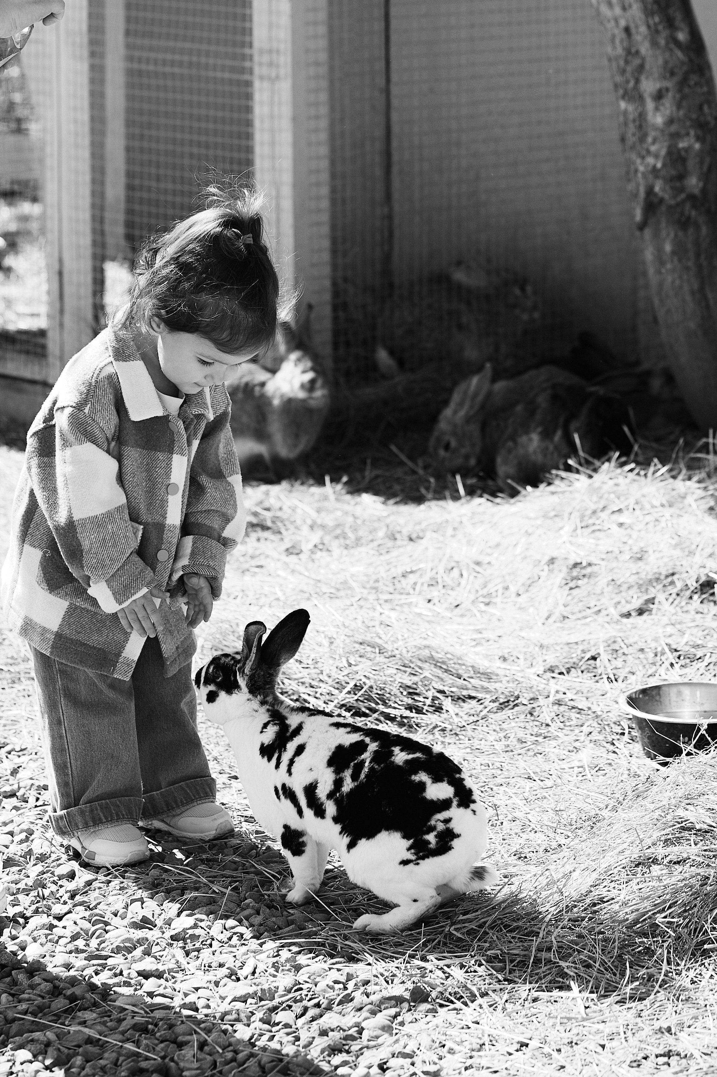 PRIVATE Weekend на Ферме Альпак 19.04. Свадебный репортажный фотограф краснодар максим дремов дрёмов фотосессия студия цена