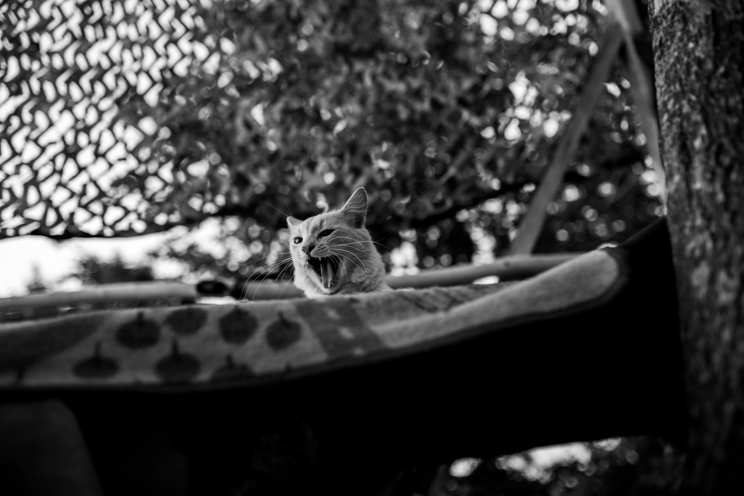 Деревенские зарисовки. Семейный LIFESTYLE фотограф в Москве