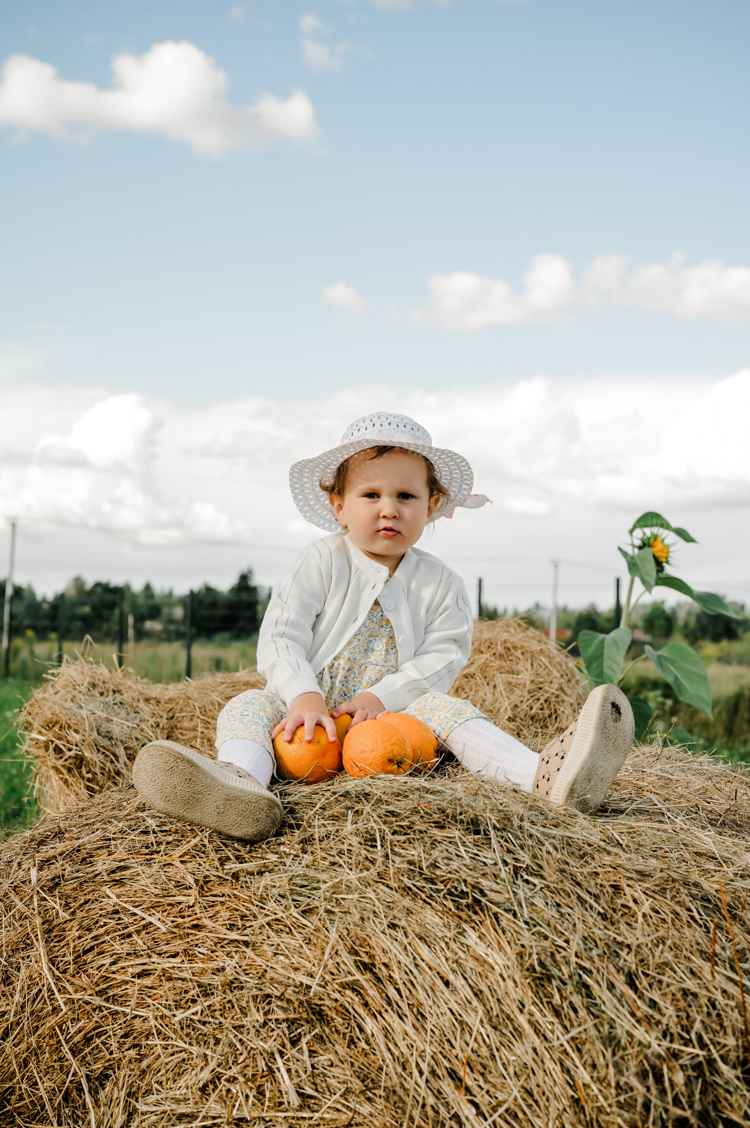 Подсолнухи. Свадебный и семейный фотограф Евгения Кононова