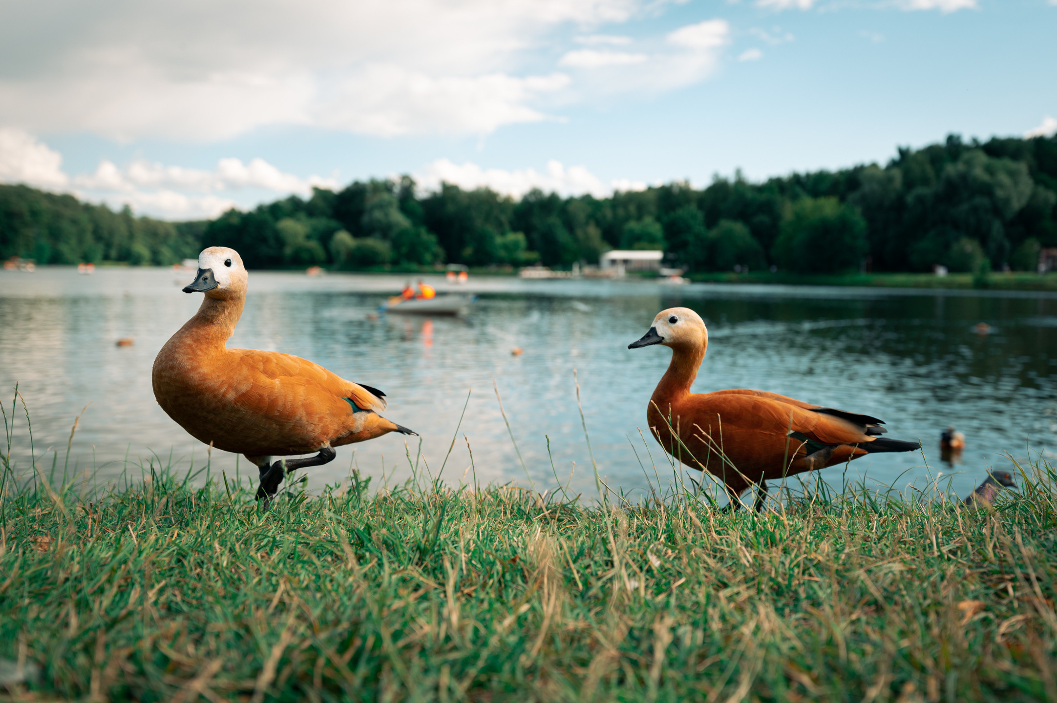 Live фотограф и портреты