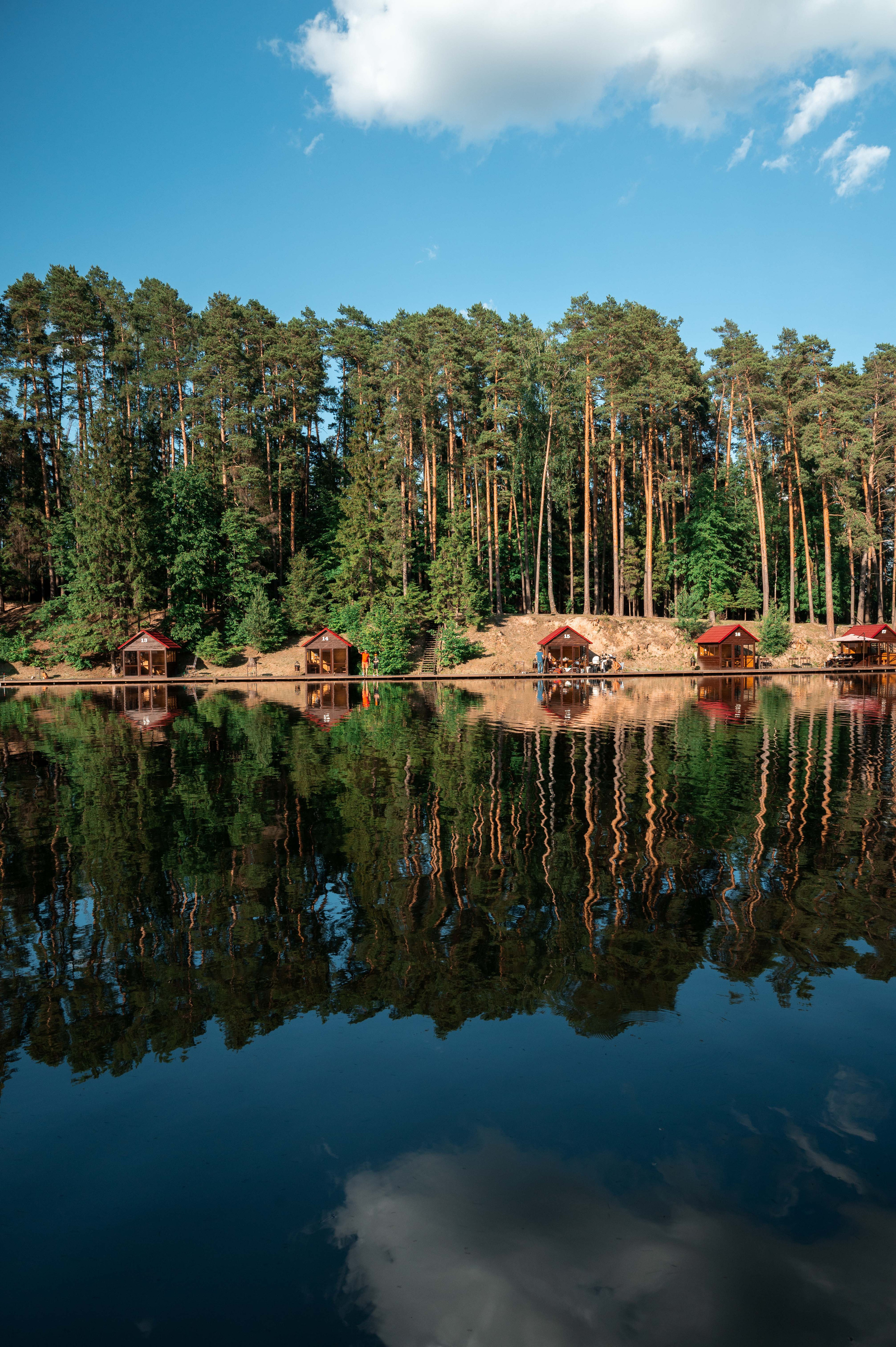 Пейзажи 🏞. Live фотограф и портреты