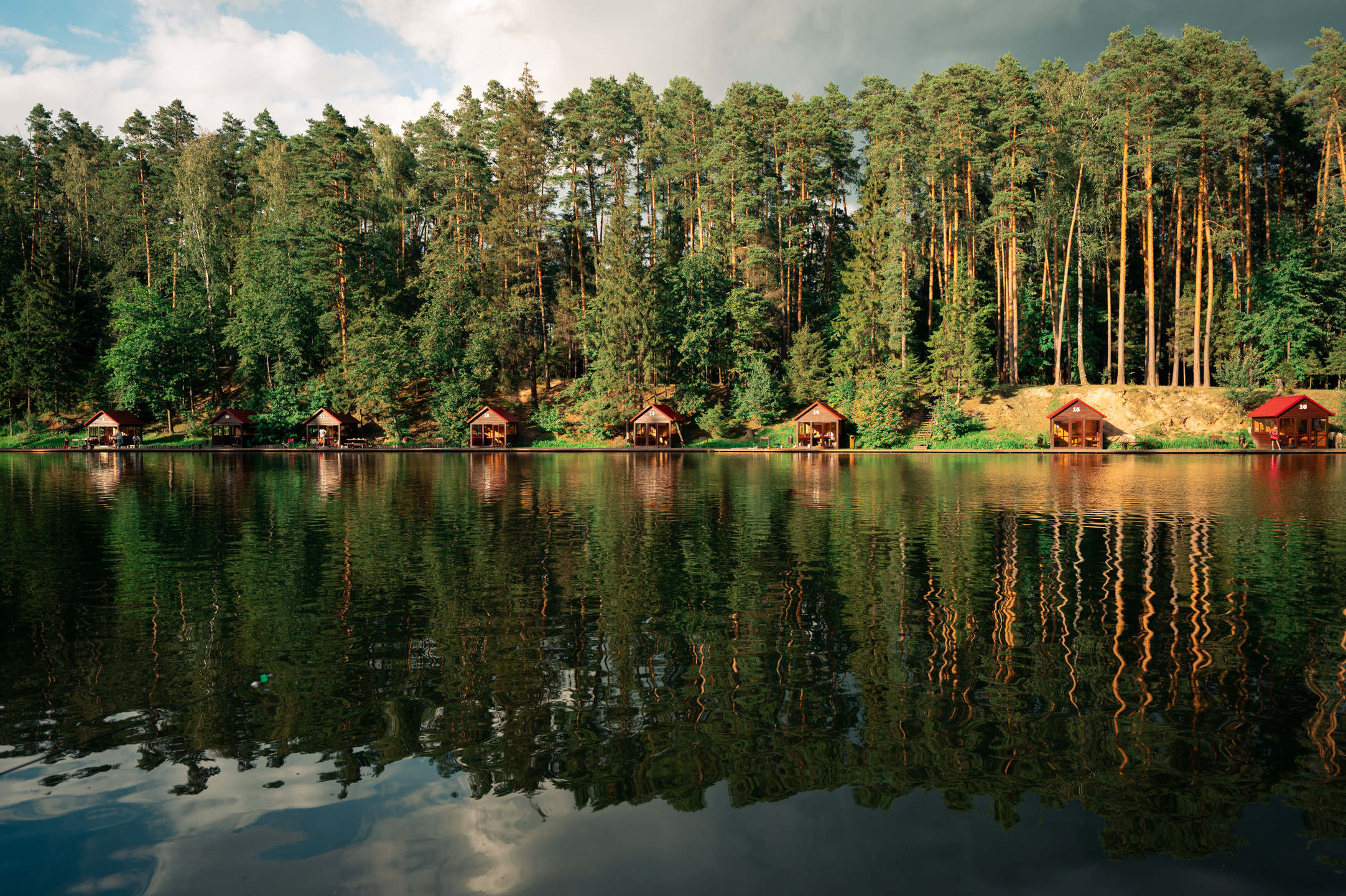 Live фотограф и портреты