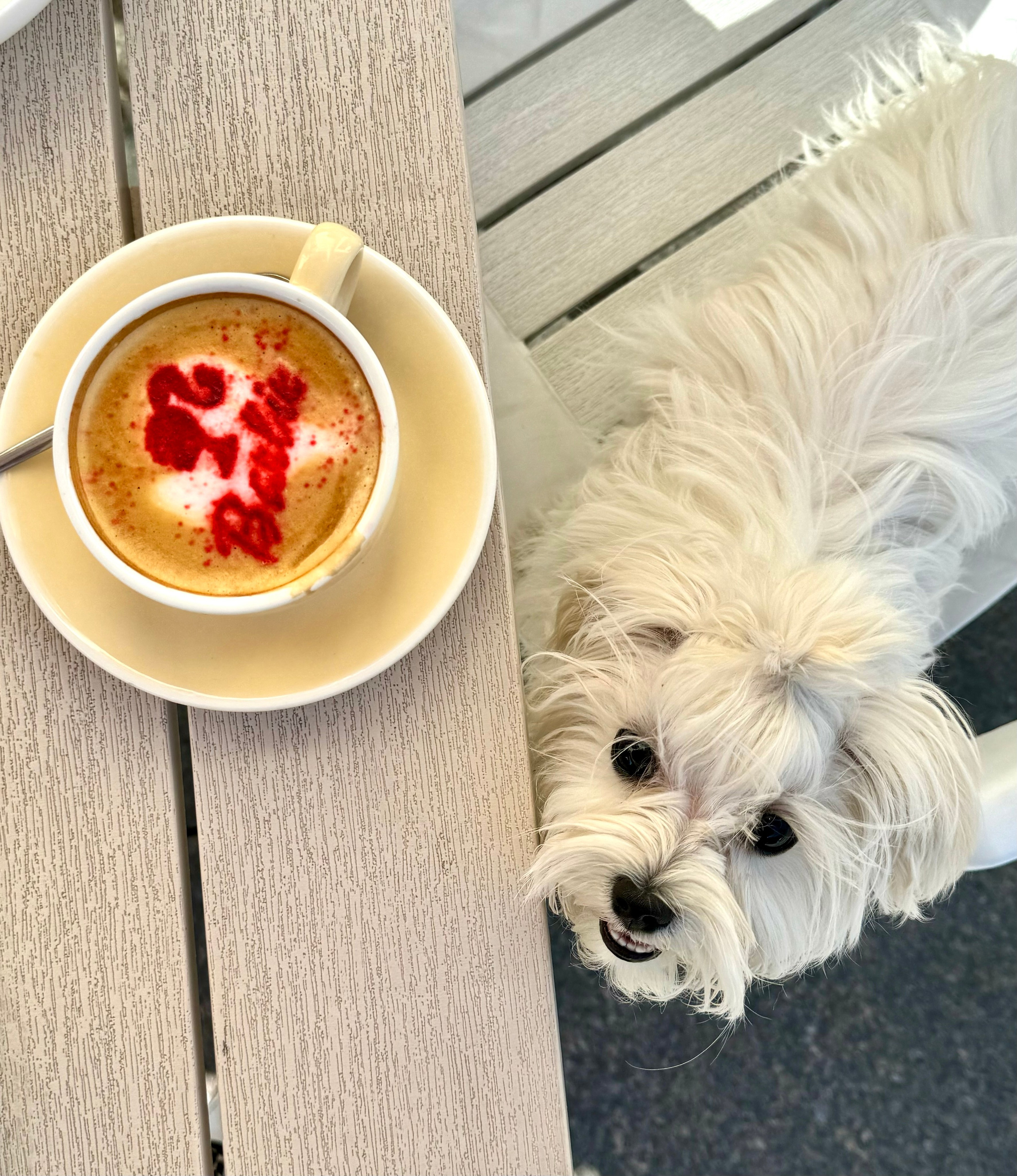 Food photo. Екатерина Таирова. Контент-фотограф из Санкт-Петербурга