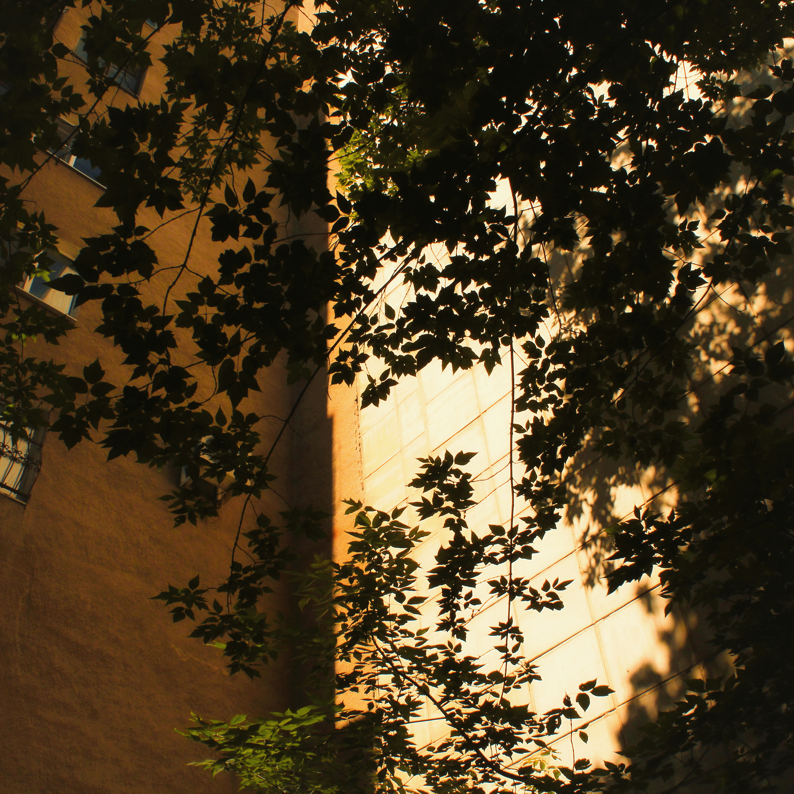 Summertime. Фотограф/дизайнер в Екатеринбурге Хитрый Дмитрий