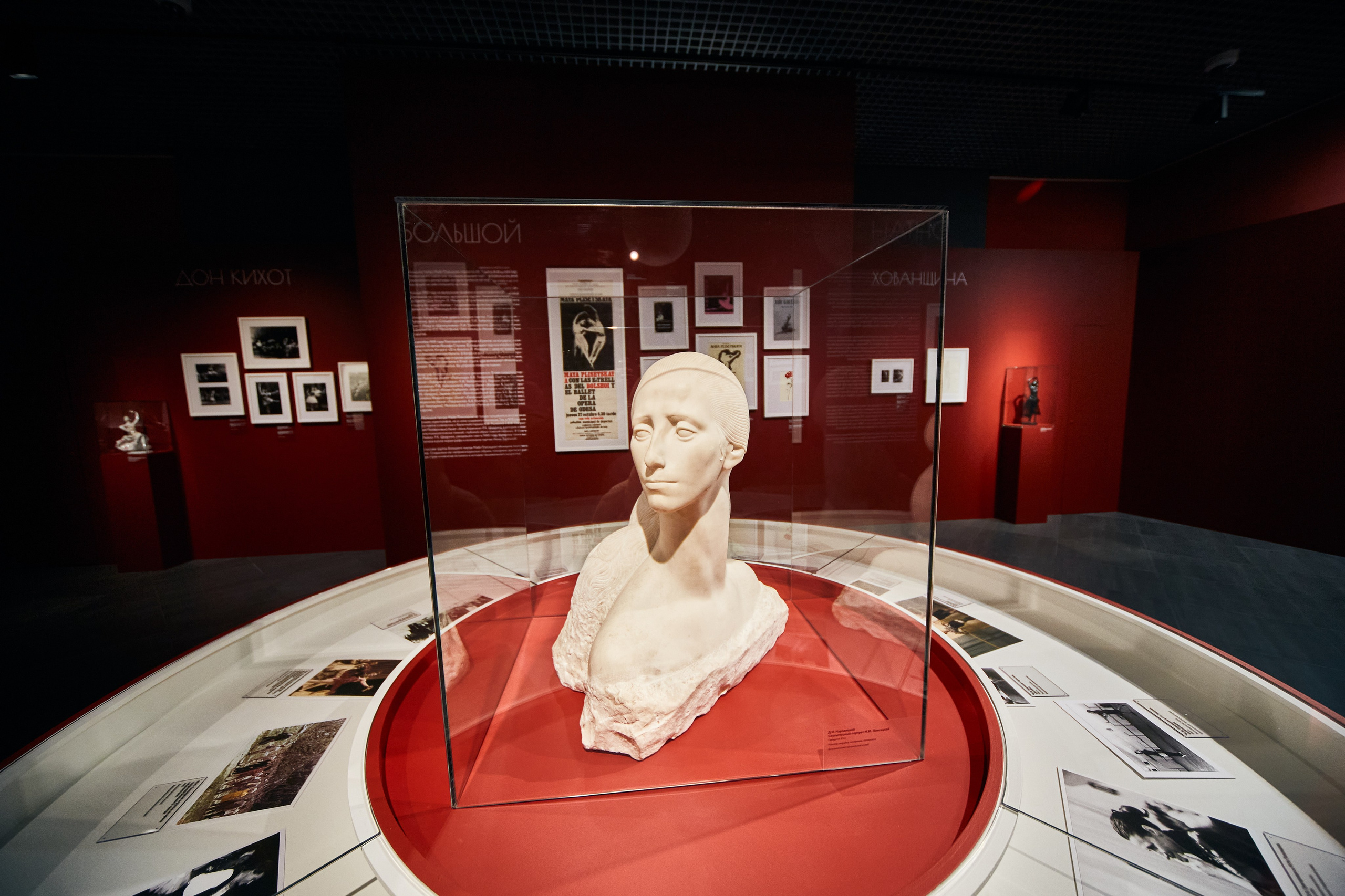 Выставка «Майя Плисецкая. Полюс магии». Даниил Гузиенко — репортажный фотограф в Туле