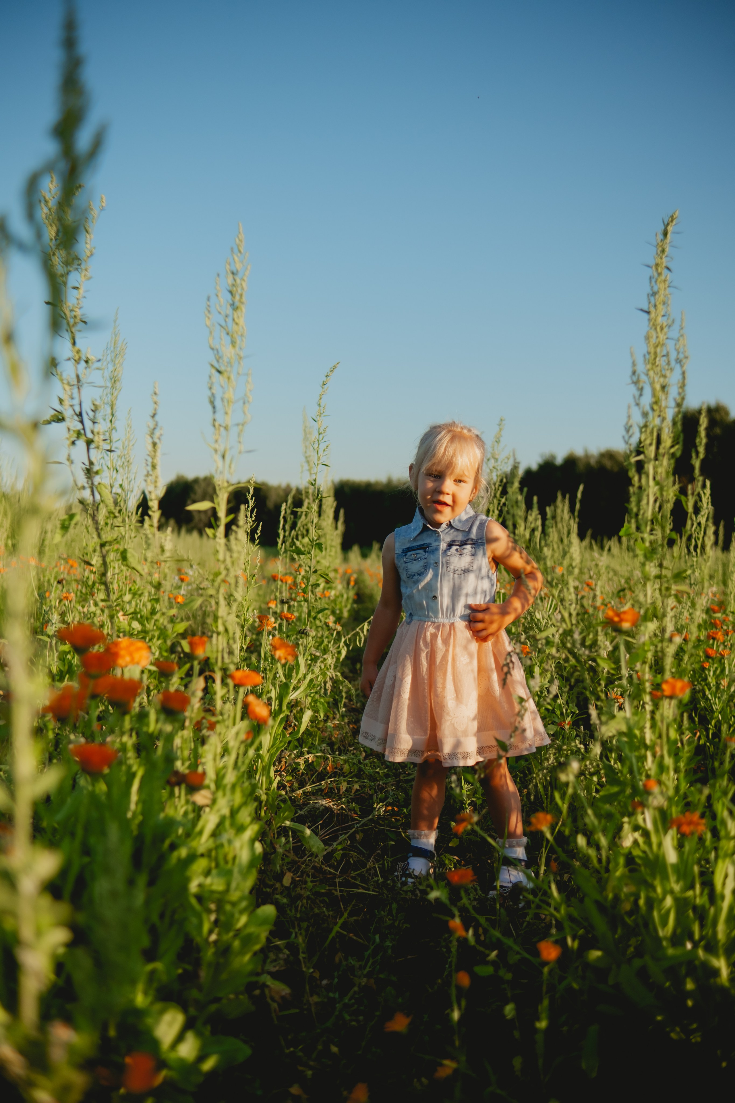 Семейная съемка в лованде. Nattie.ph