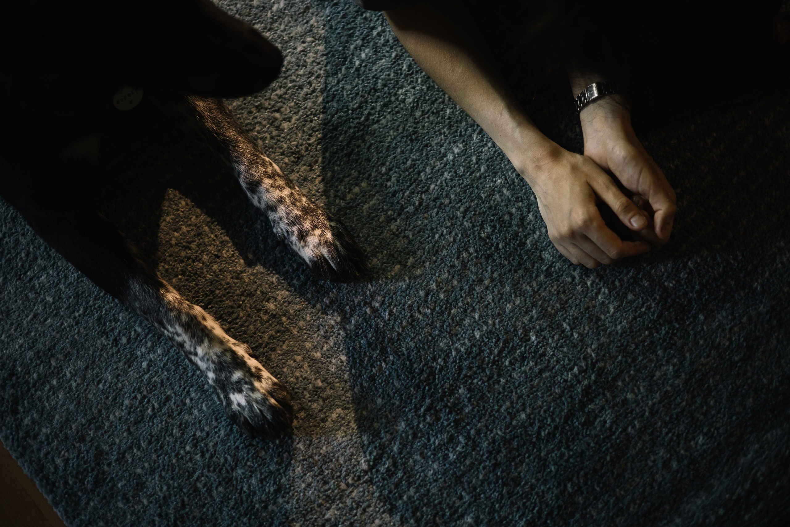 Ира и Морфей. Фотограф Анна Луценко Москва