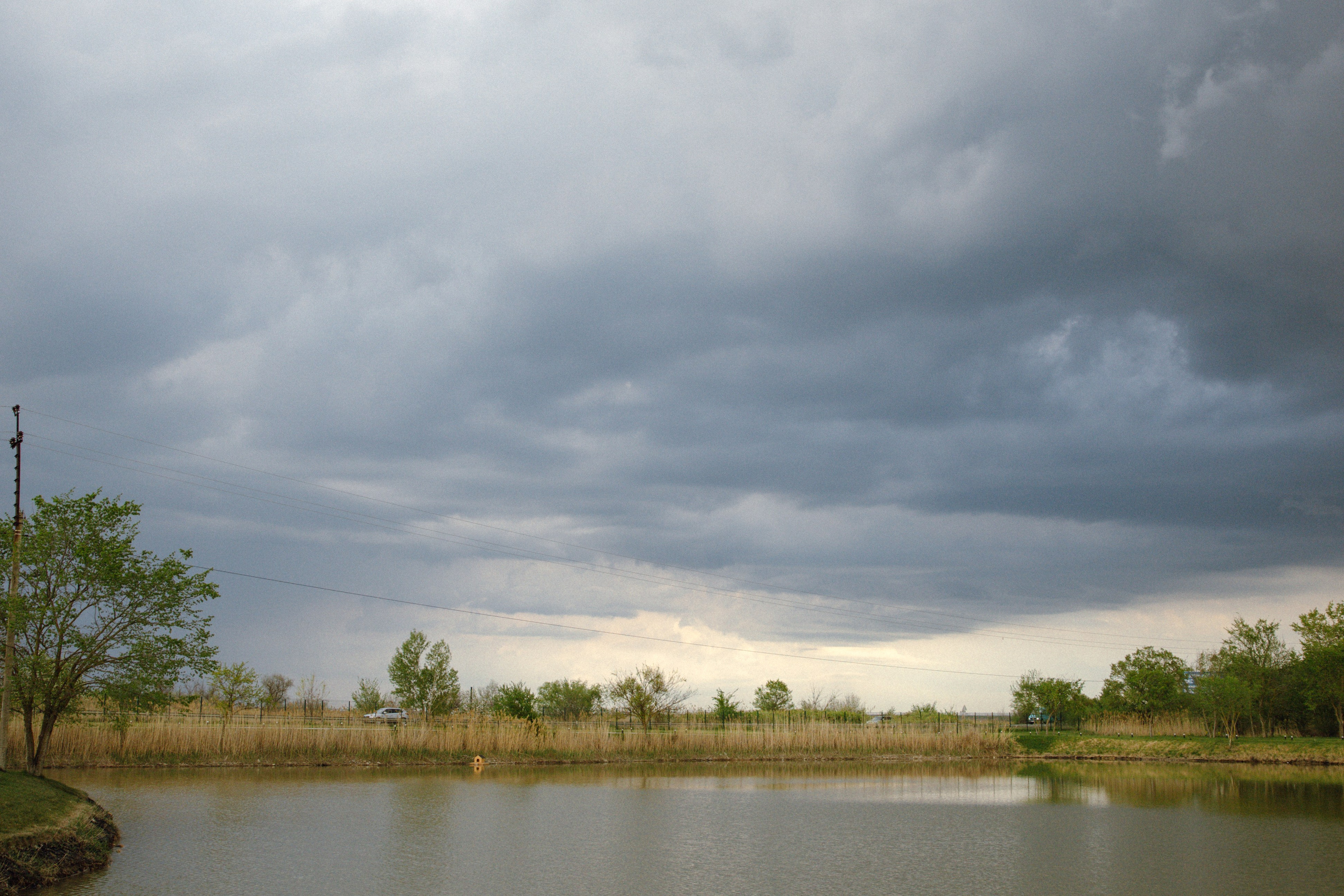 Сергей и Нина. Фотограф Эдуарда Титанян