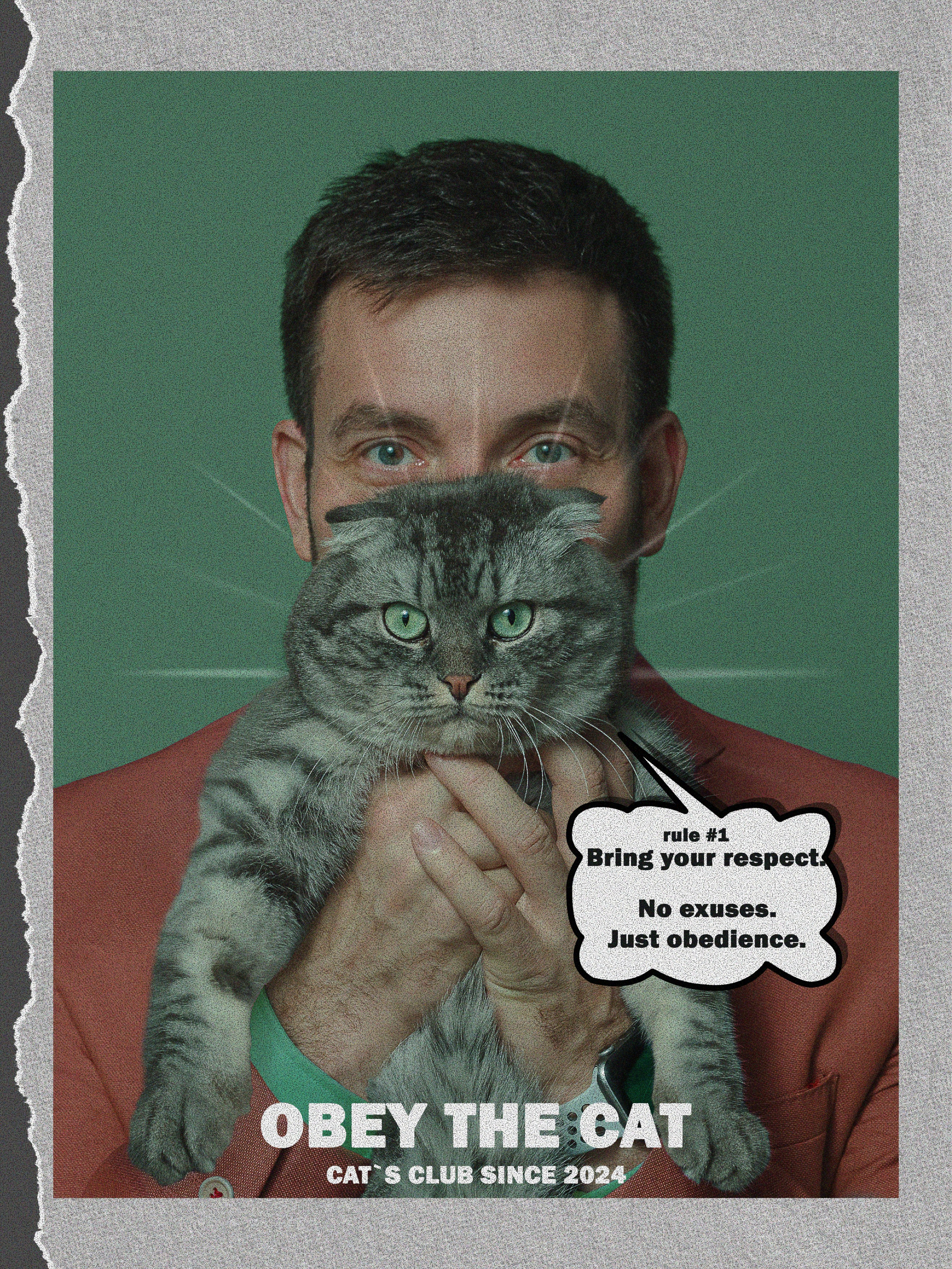 Comics «Obey the cat». MARINA MANUCHARIAN