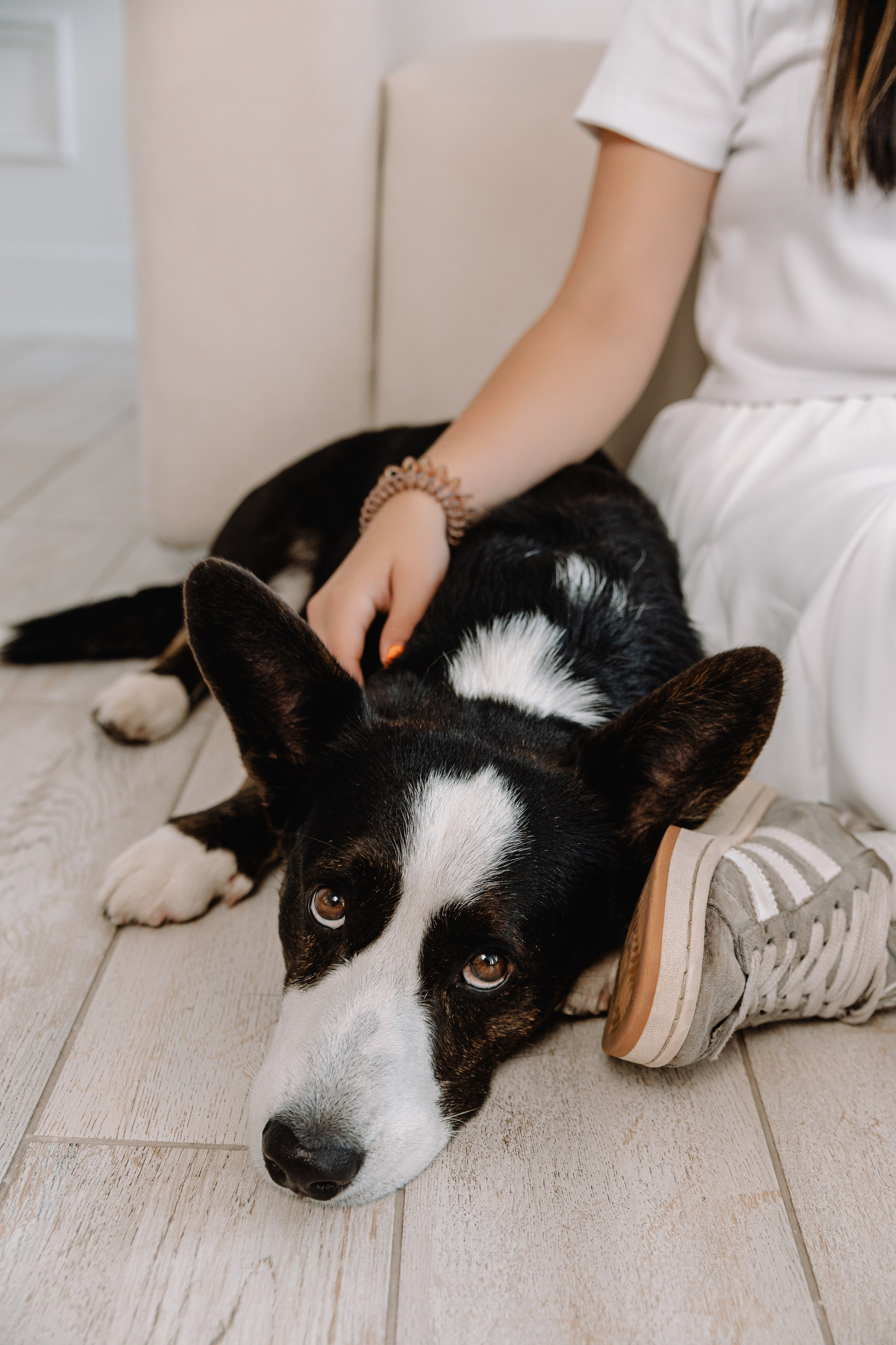 Евгения, Михаил и Дарина и собачка Чарли. Фотограф Воронеж Варвара