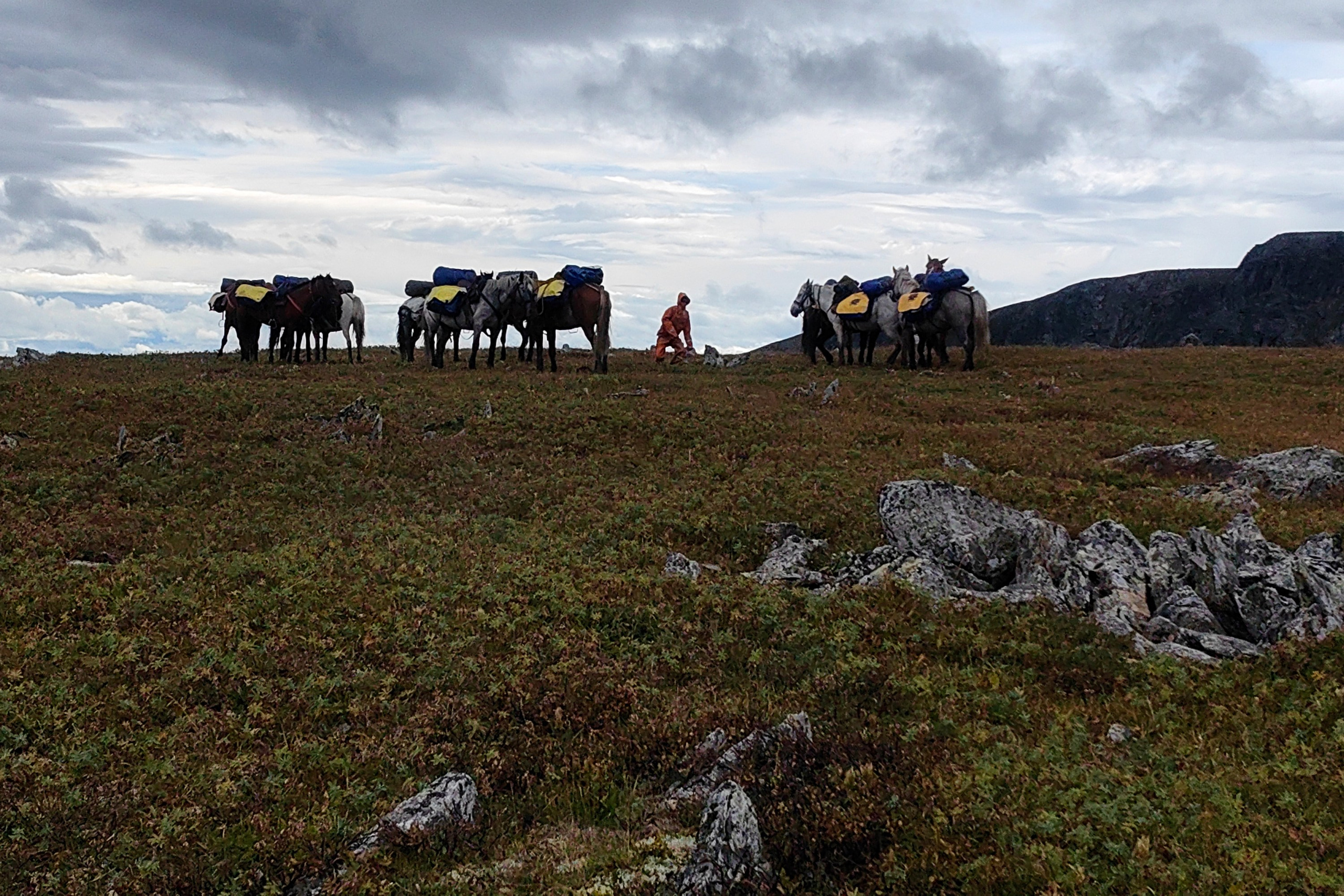 Алтай. Юрий Березнюк. Фотожурналистика