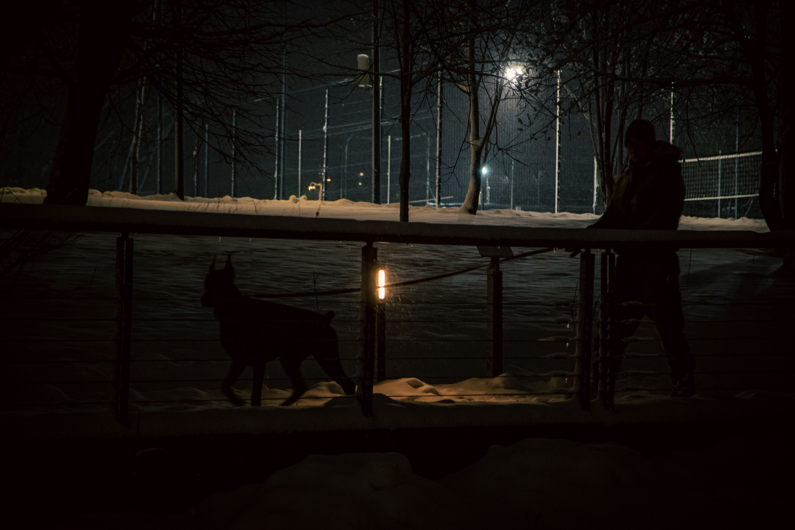 Ветер. Dmitriy [KCCC] is a pretty cool photographer