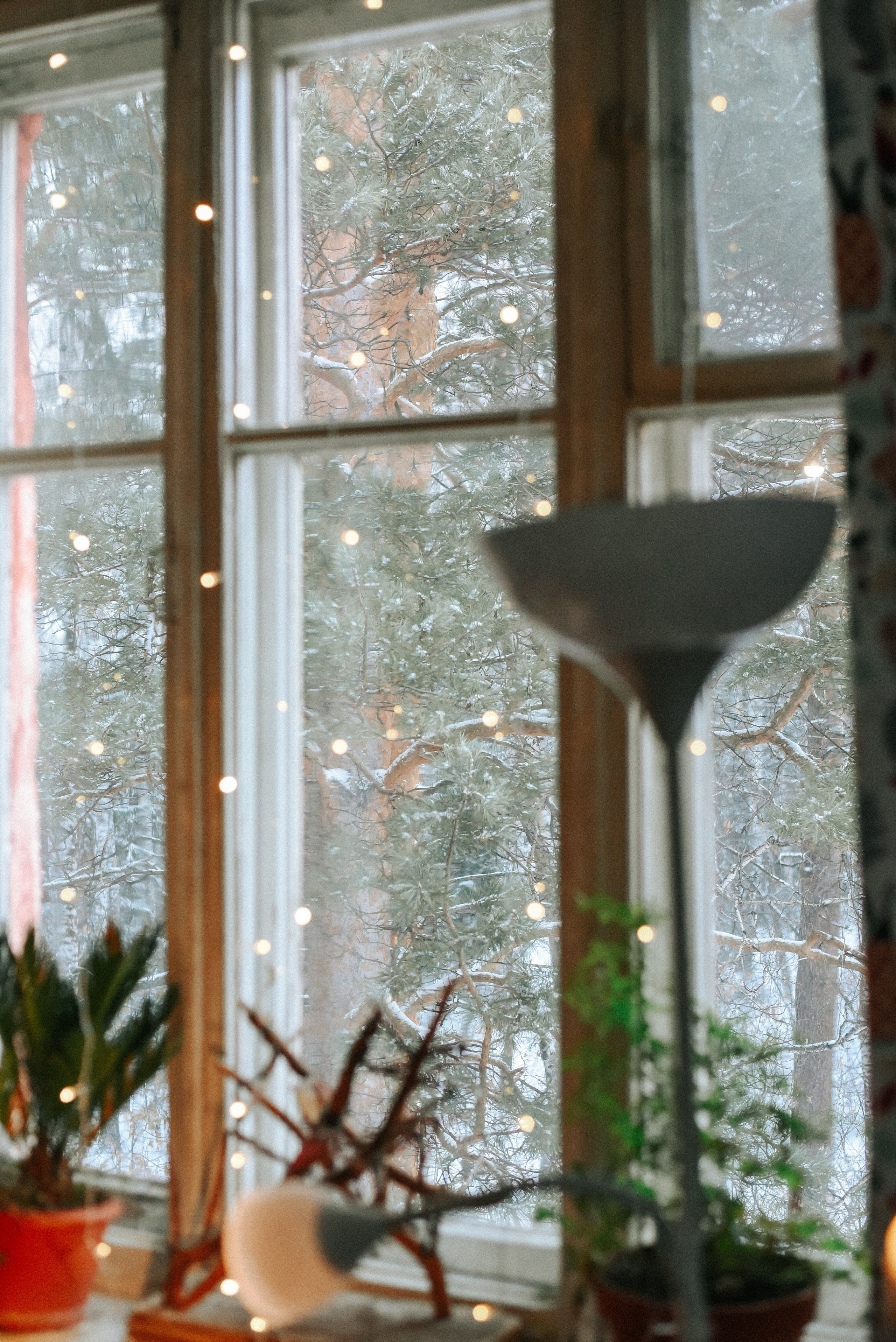 Алина и дом-музей. Детский и семейный фотограф в Новосибирске Саша Дорошенко