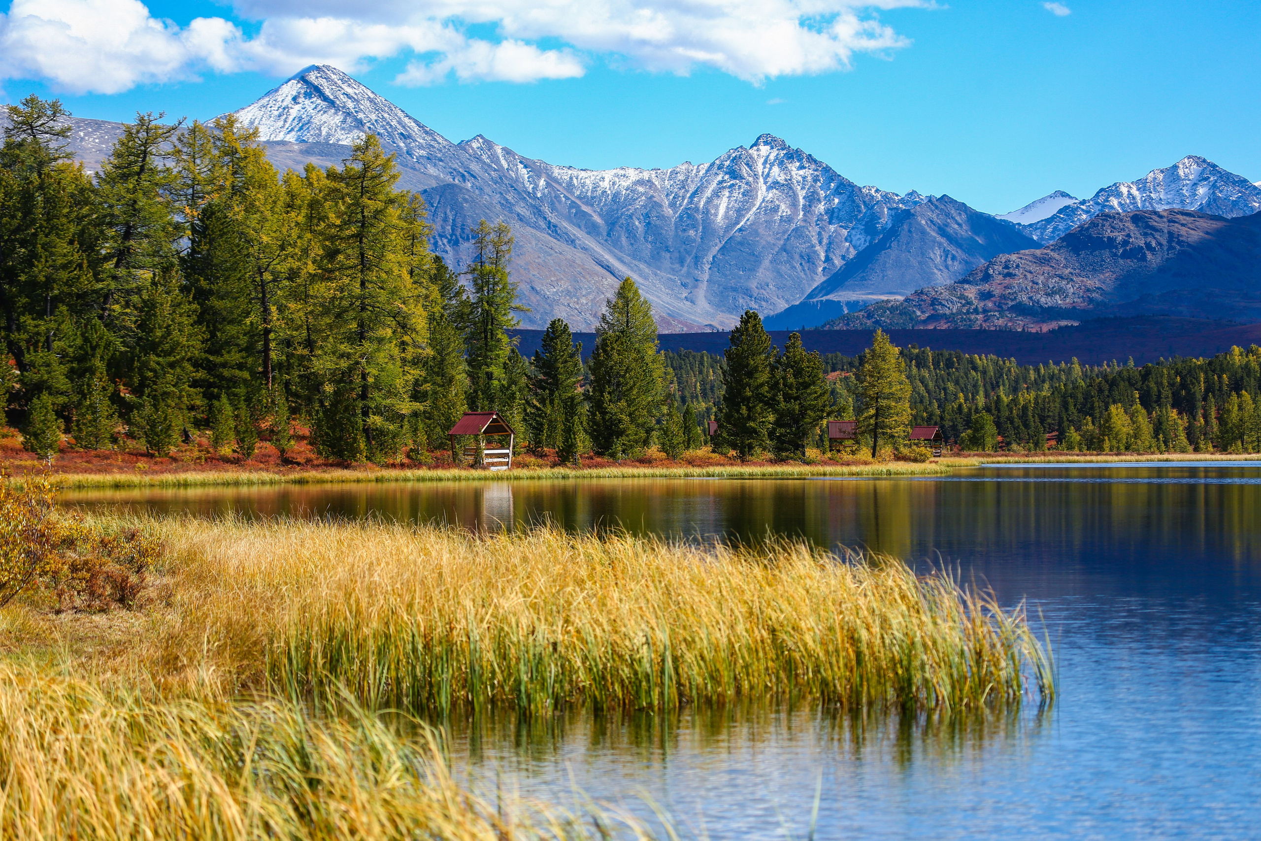 Репортажный фотограф в Москве Зуйко Оксана
