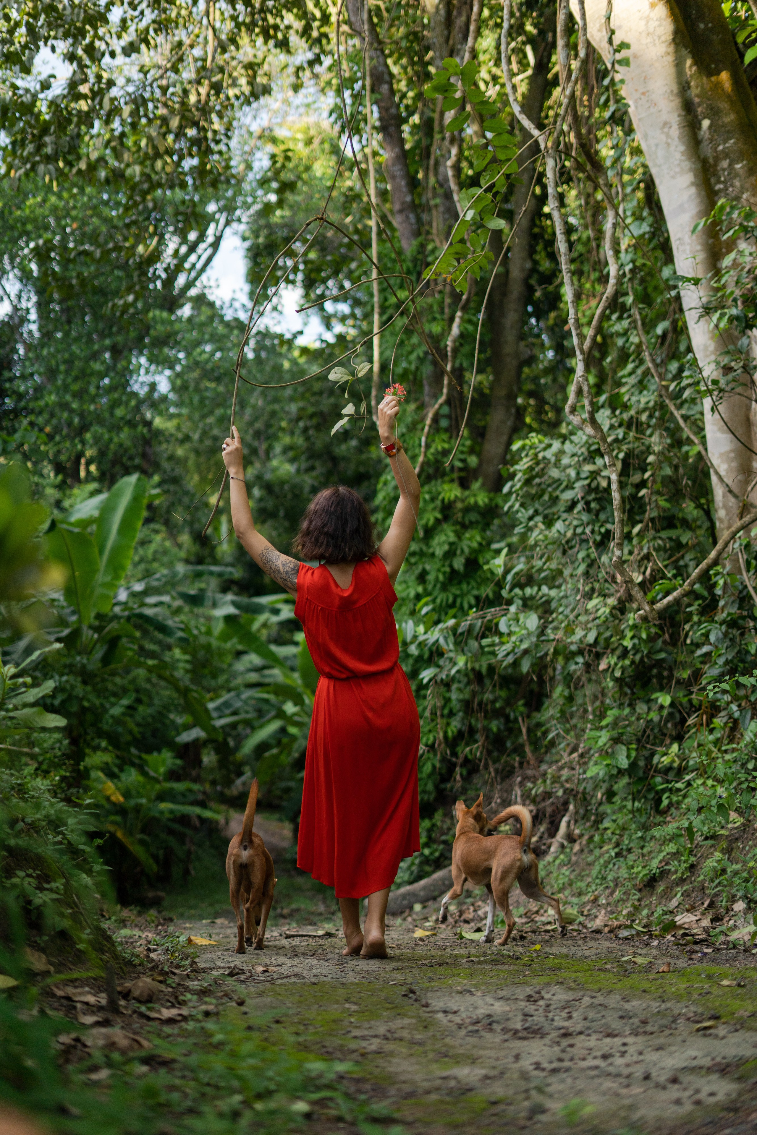 Sri lankan village vibe, Daria