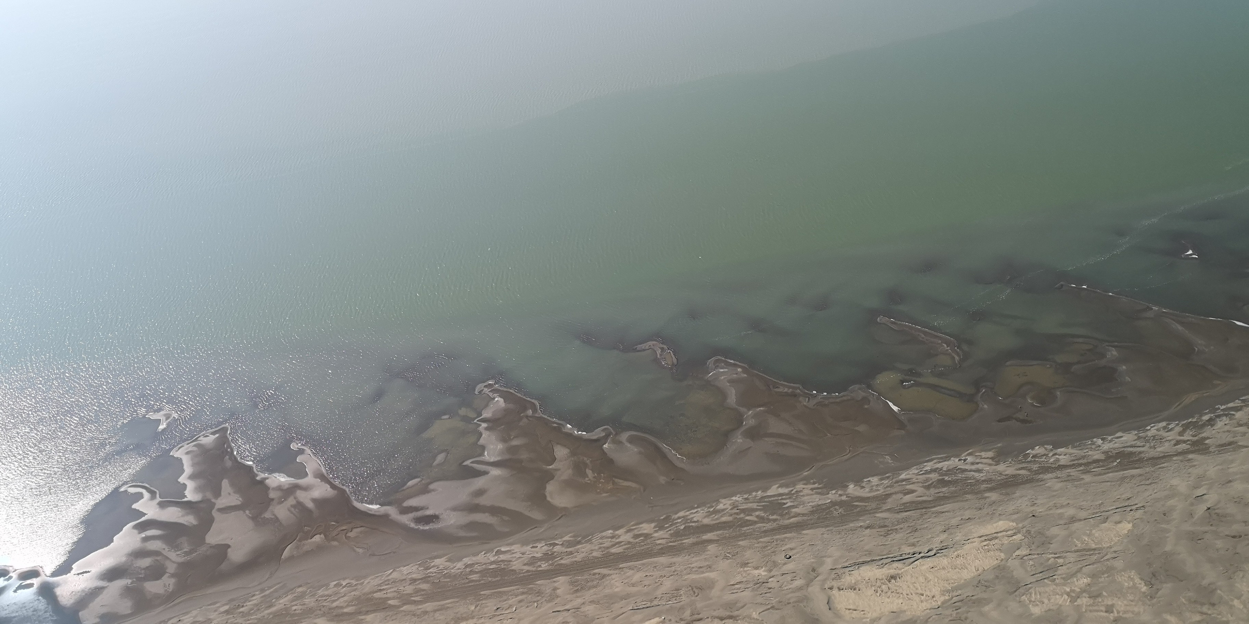 Каспийское море (наука на Ла-8) (2021 г.). Фотоальбом показывающий увлекательный мир авиации и мир медведей Андрея Иванова