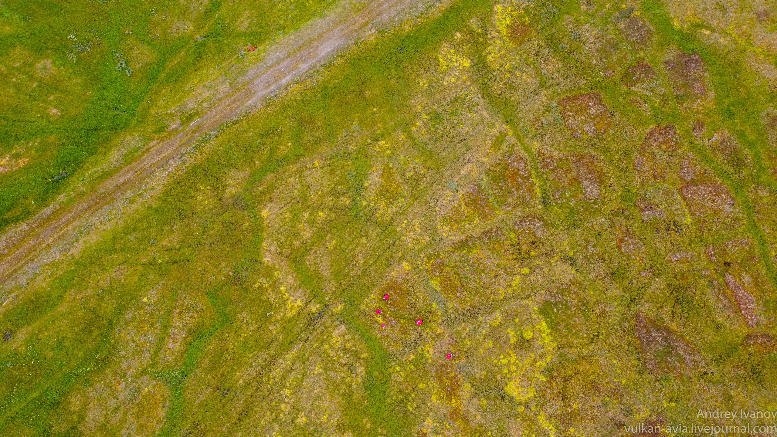 Амдерма — наука (2020 г.). Фотоальбом показывающий увлекательный мир авиации и мир медведей Андрея Иванова