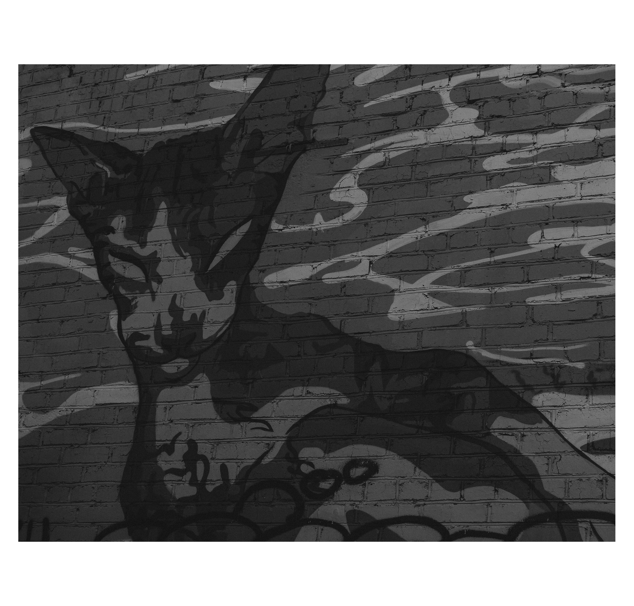 Ekb2.0. Фотограф/дизайнер в Екатеринбурге Хитрый Дмитрий