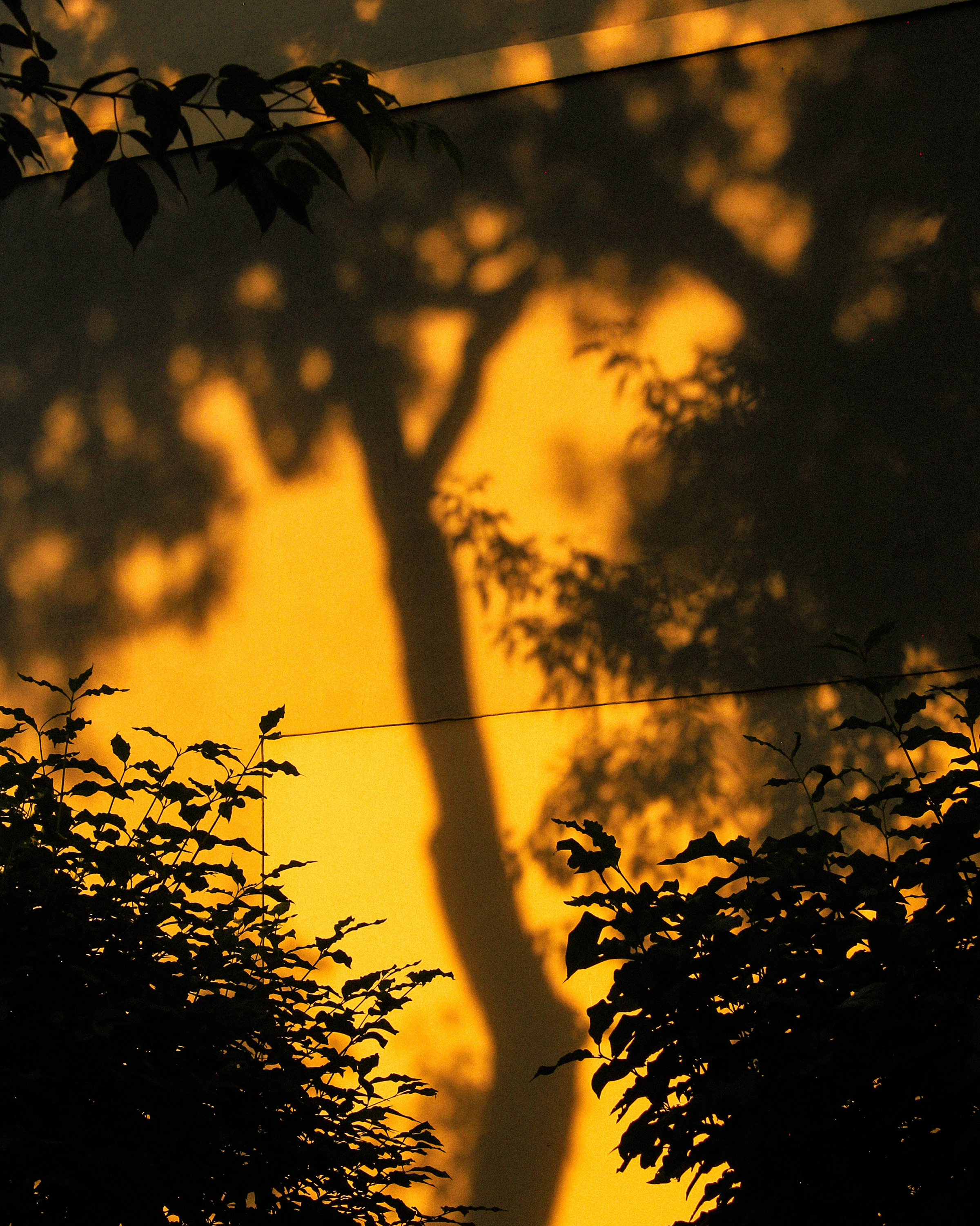 Summertime. Фотограф/дизайнер в Екатеринбурге Хитрый Дмитрий