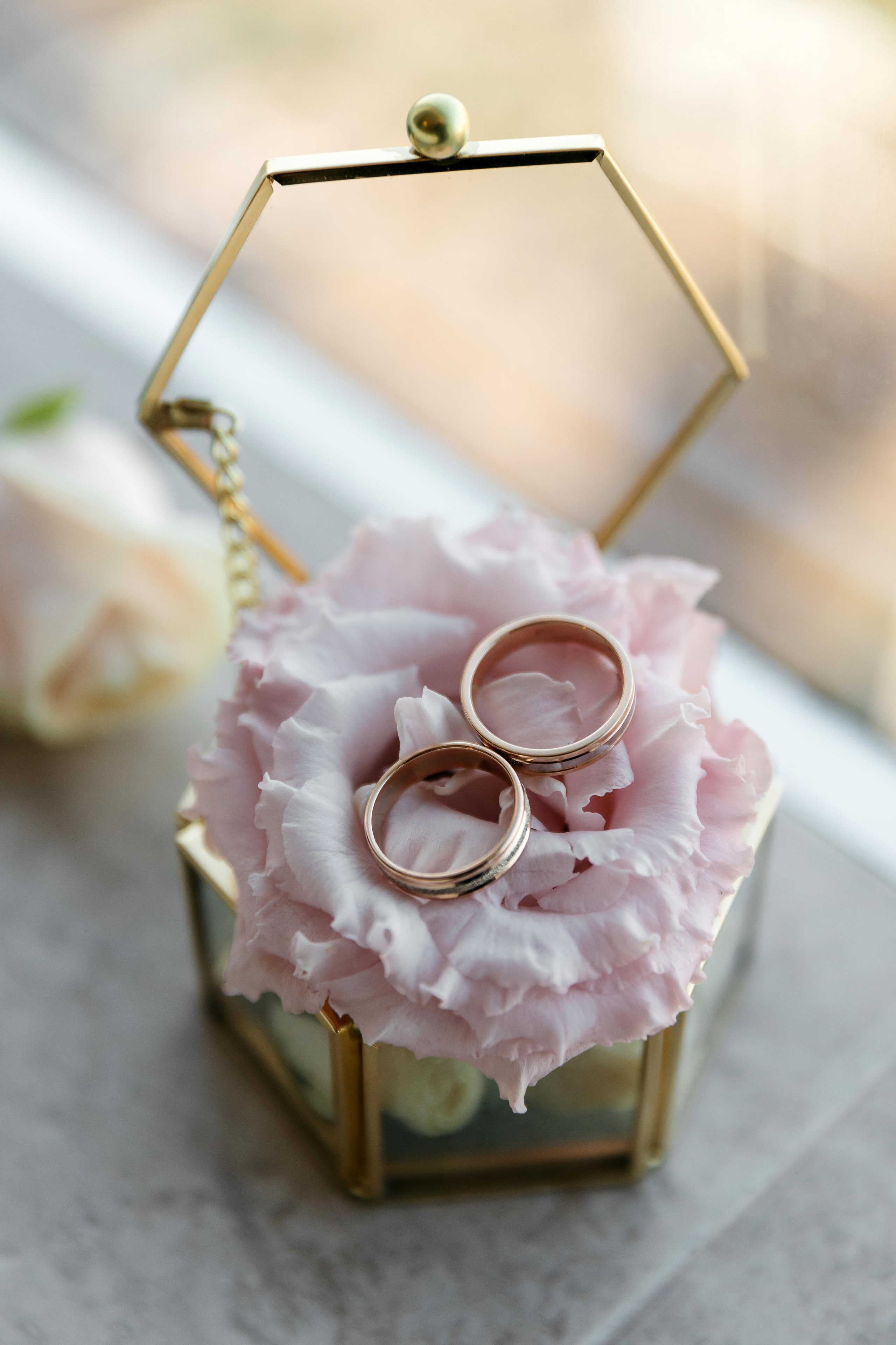 Свадьбы. Свадебный фотограф в Краснодаре