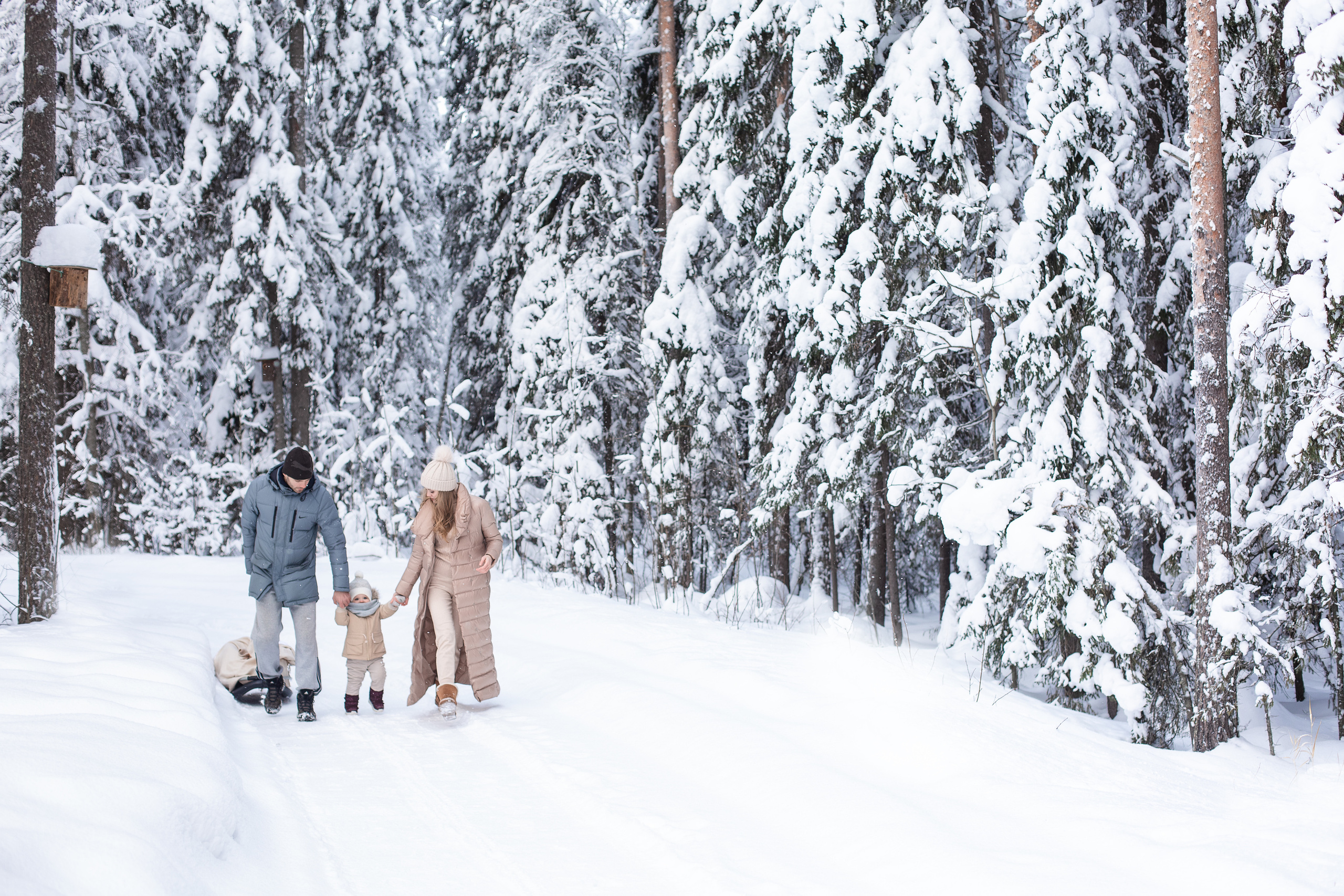 ❤️. Главная