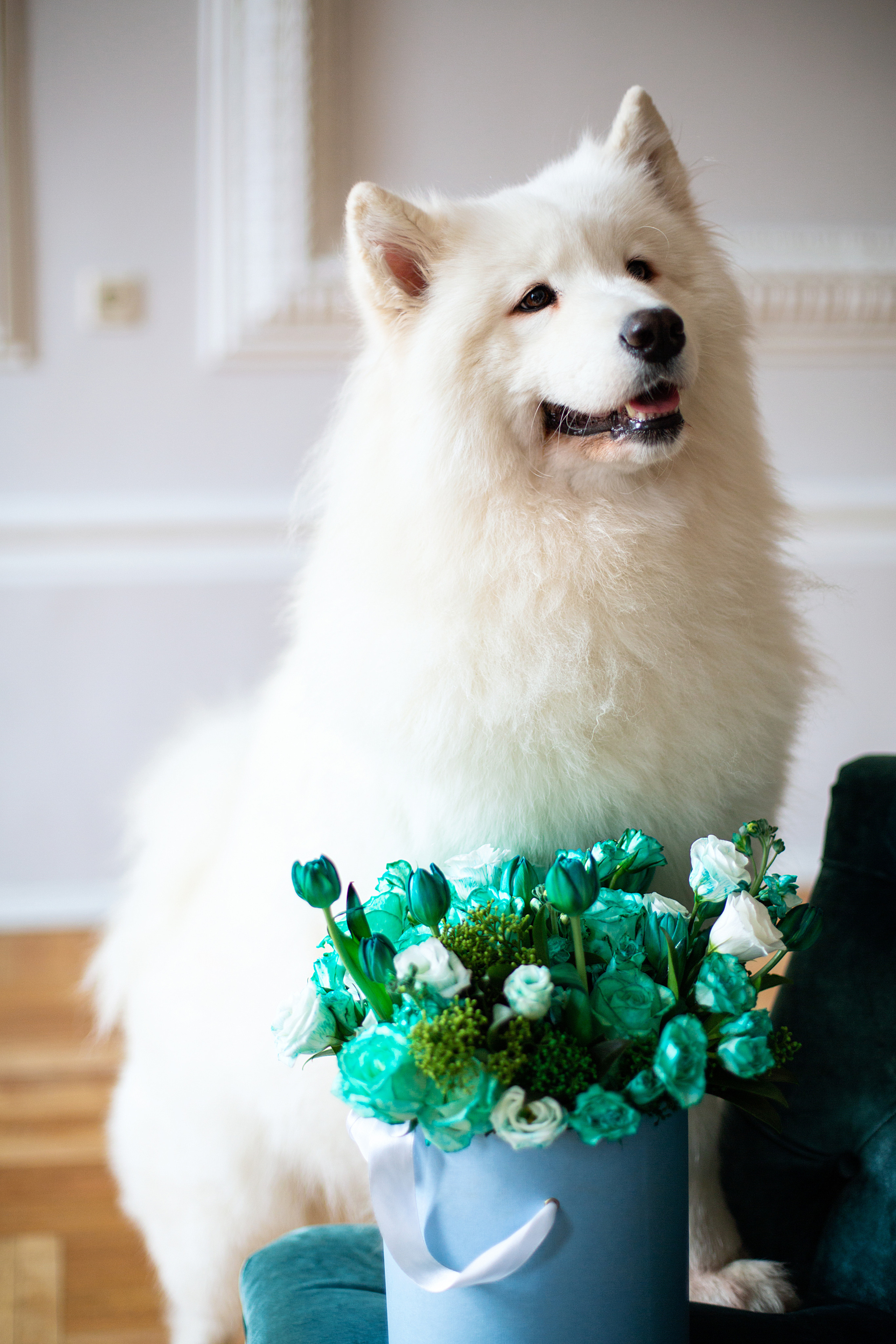 🧡. Главная