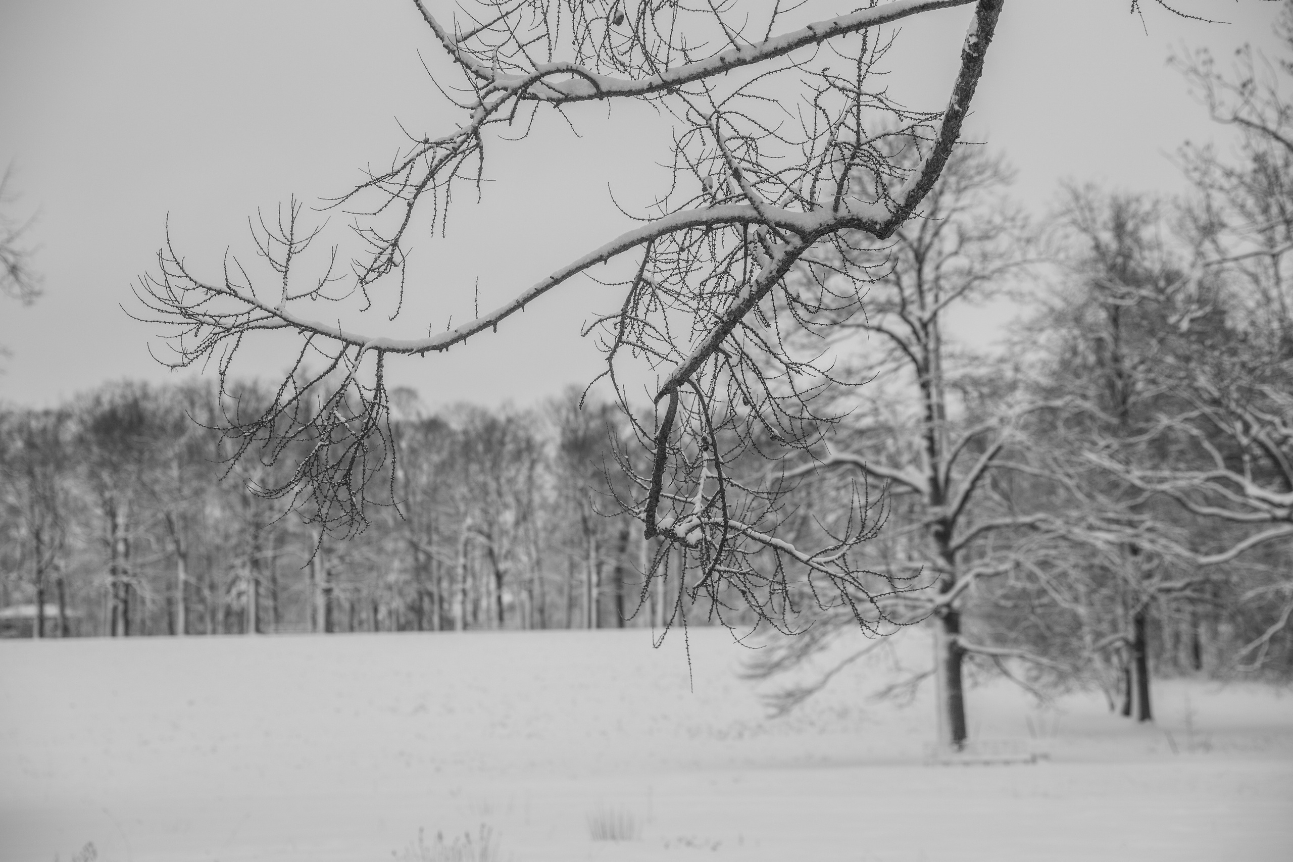 Фото с прогулок и с поездок на Кольский полуостров