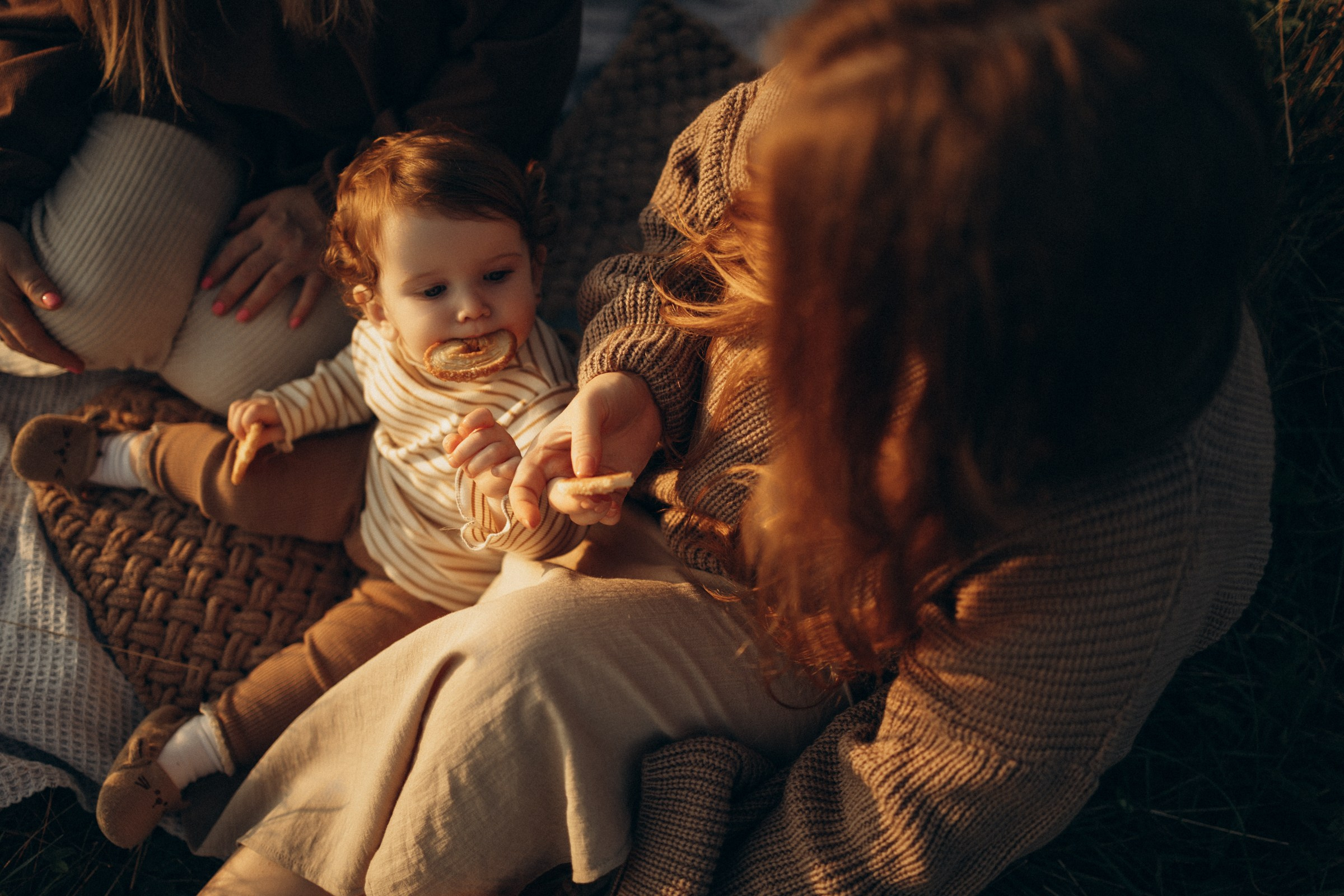 Печенька. Фотограф Daria Wilner