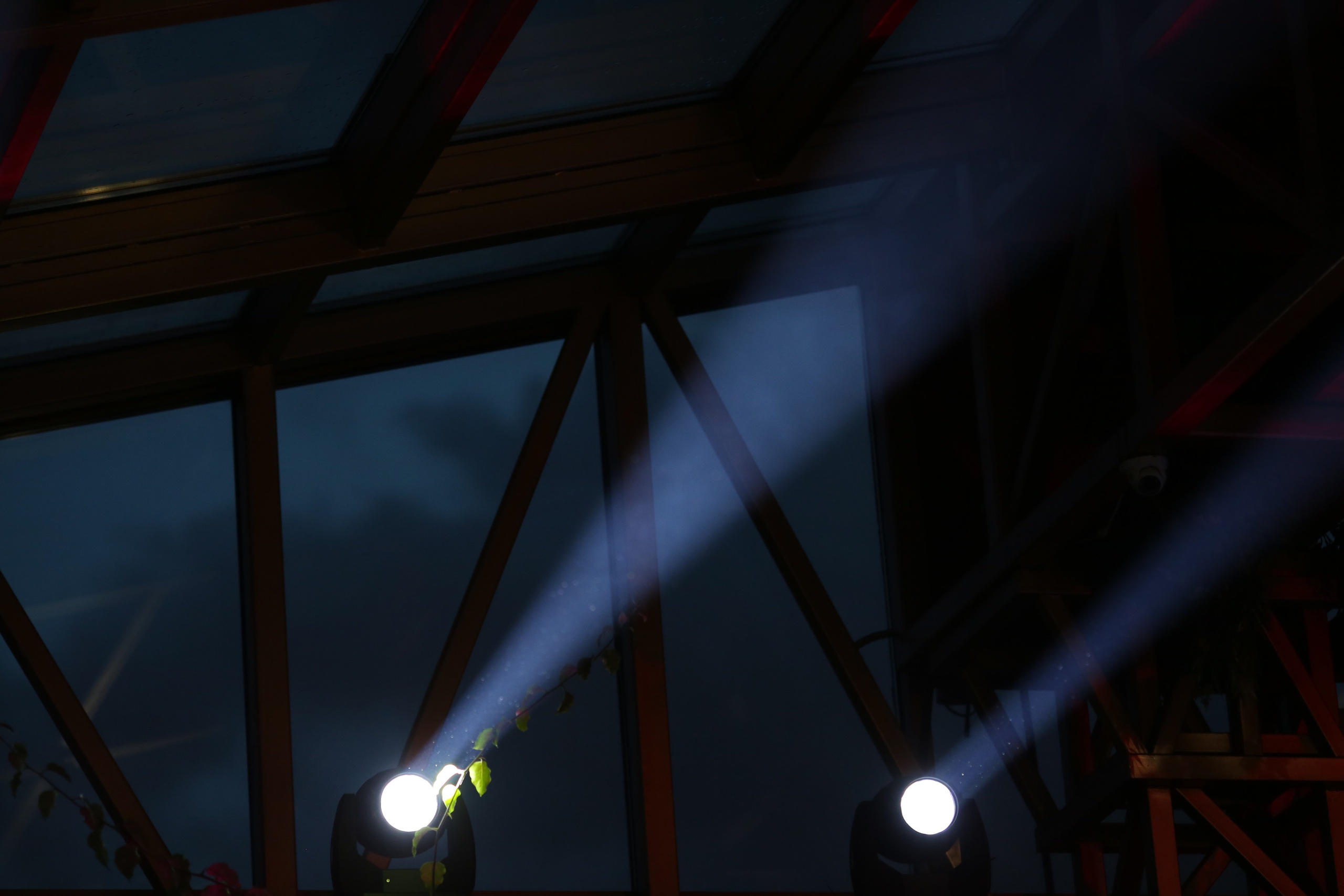 Музыканты. Семейный и детский фотограф Анна Петракова