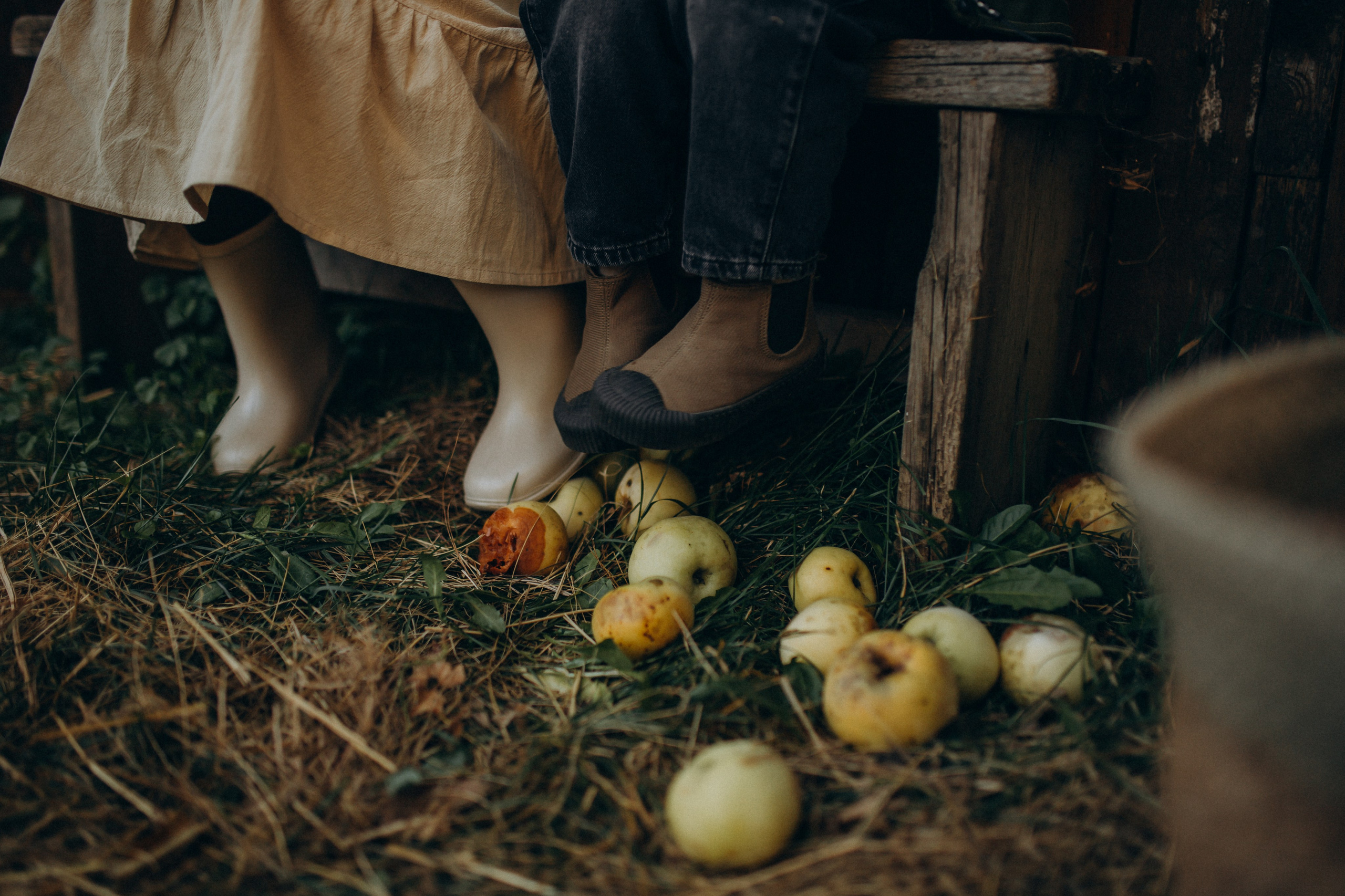 Амбар. Ваш фотограф АНАстасия Земскова