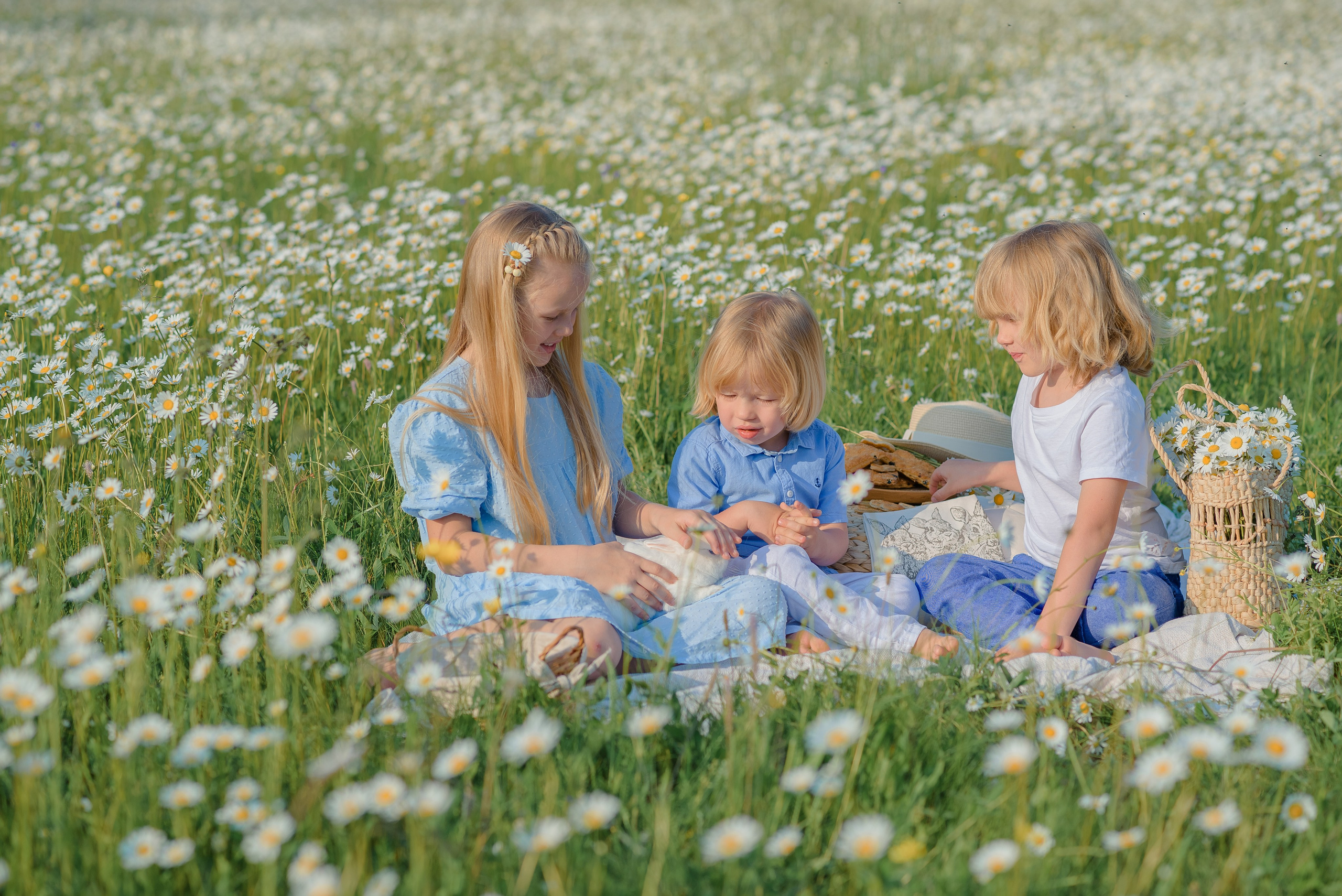 Ромашковое поле. Семейный фотограф в Рязани Мария Ермакова