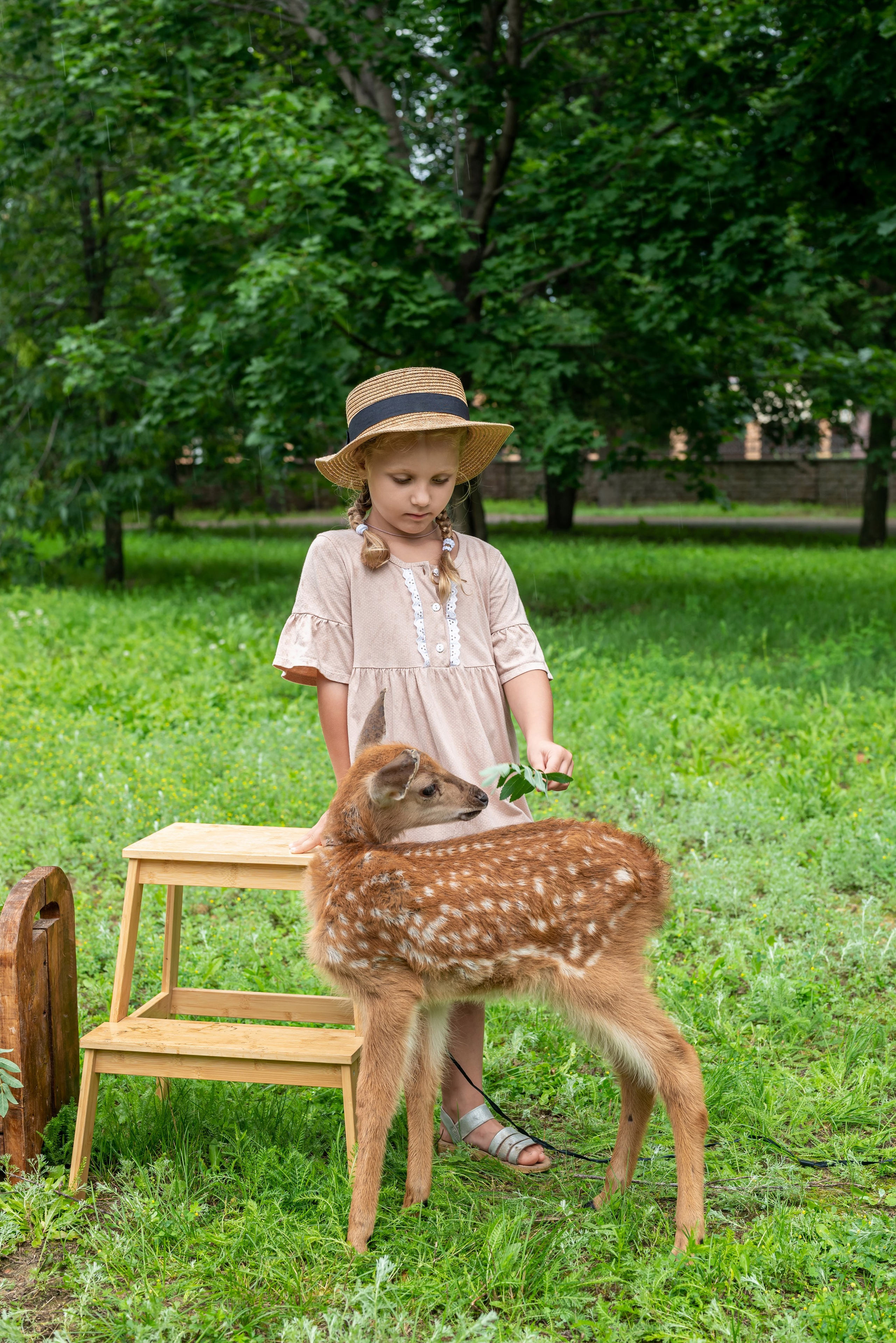 Фотопроект *Оленёнок Бэмби*. Фотограф в городе Салават
