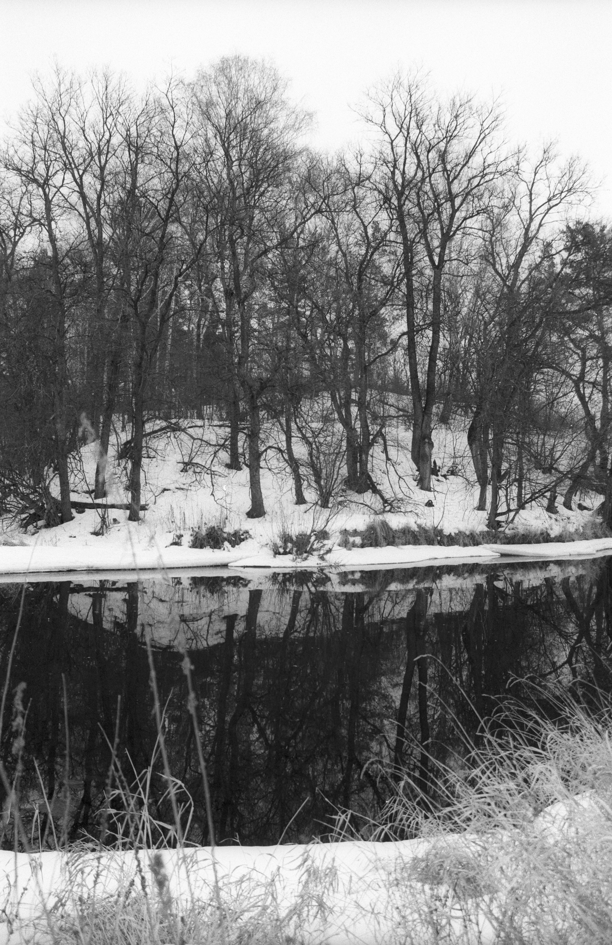 Ноябрь. Фотограф в Санкт-Петербурге Березовский Даниил