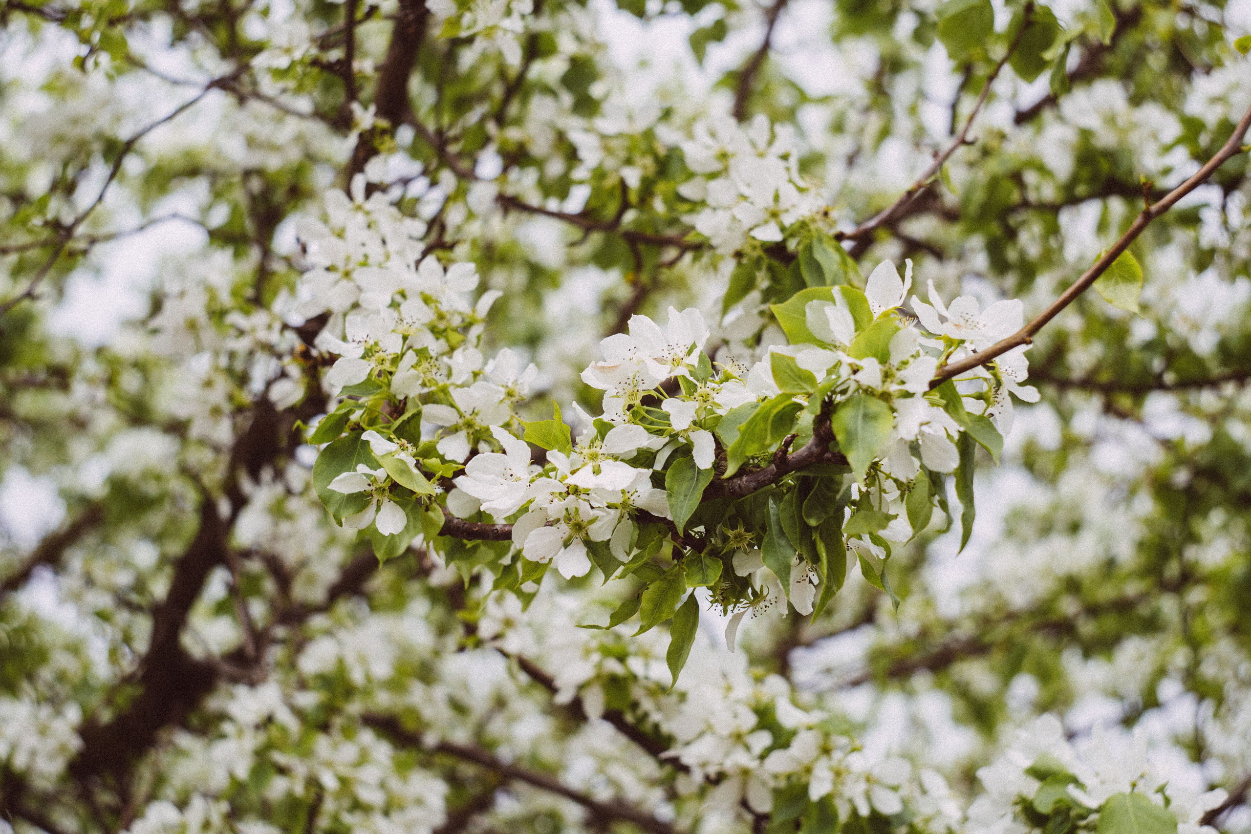 Индивидуальные и парные. Семейный и контент фотограф в Москве Вероника Швец