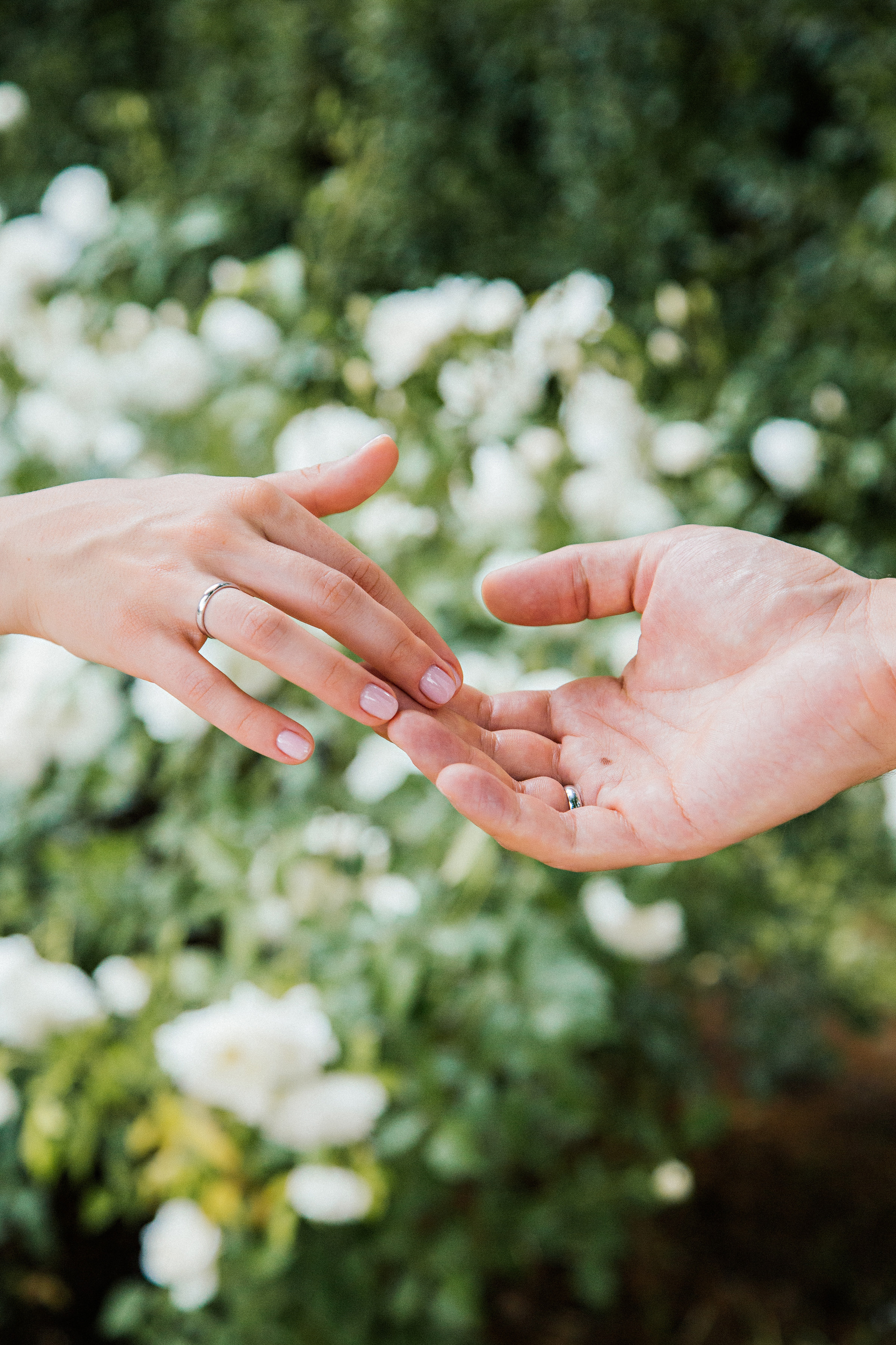 Алина и Марат. Семейный и контент фотограф в Москве Вероника Швец
