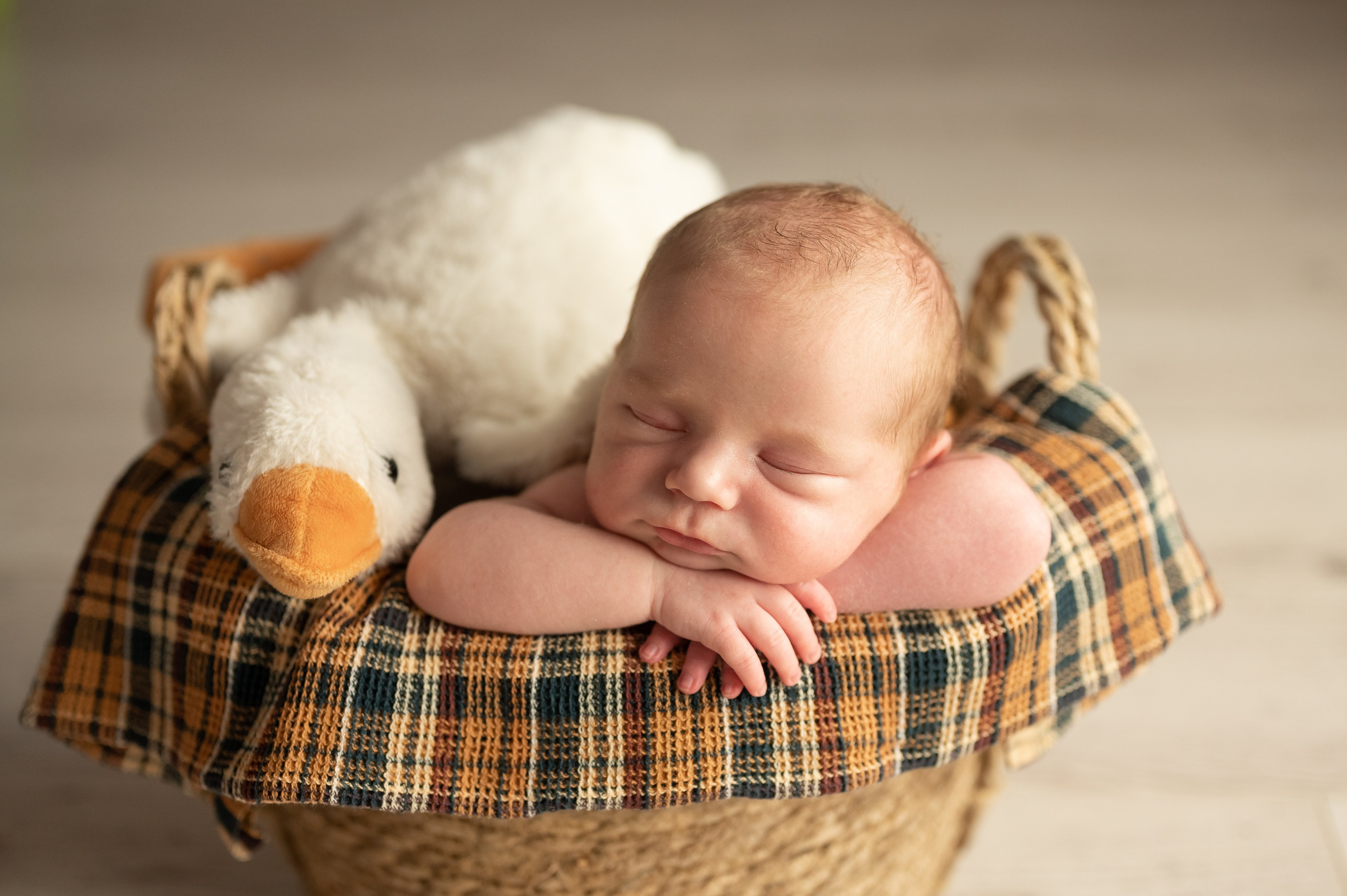 Портфолио фотографа в Калуге Проняевой Евгении. Фотограф новорождённых, семейный, школьный в городе Калуге Евгения