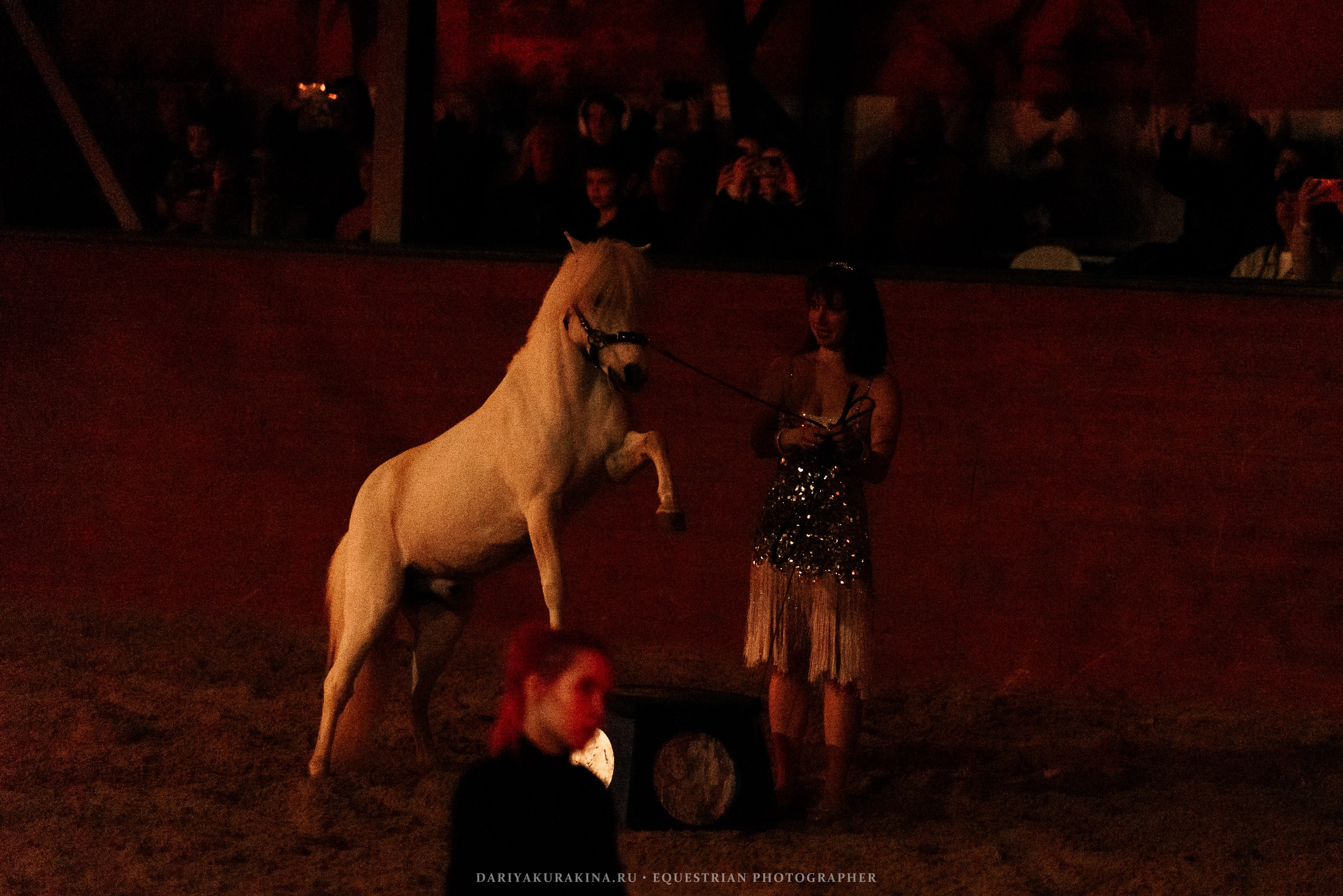 Конное представление «Дыхание Звёзд». Конный фотограф Куракина Дарья • Фотосессии с лошадьми