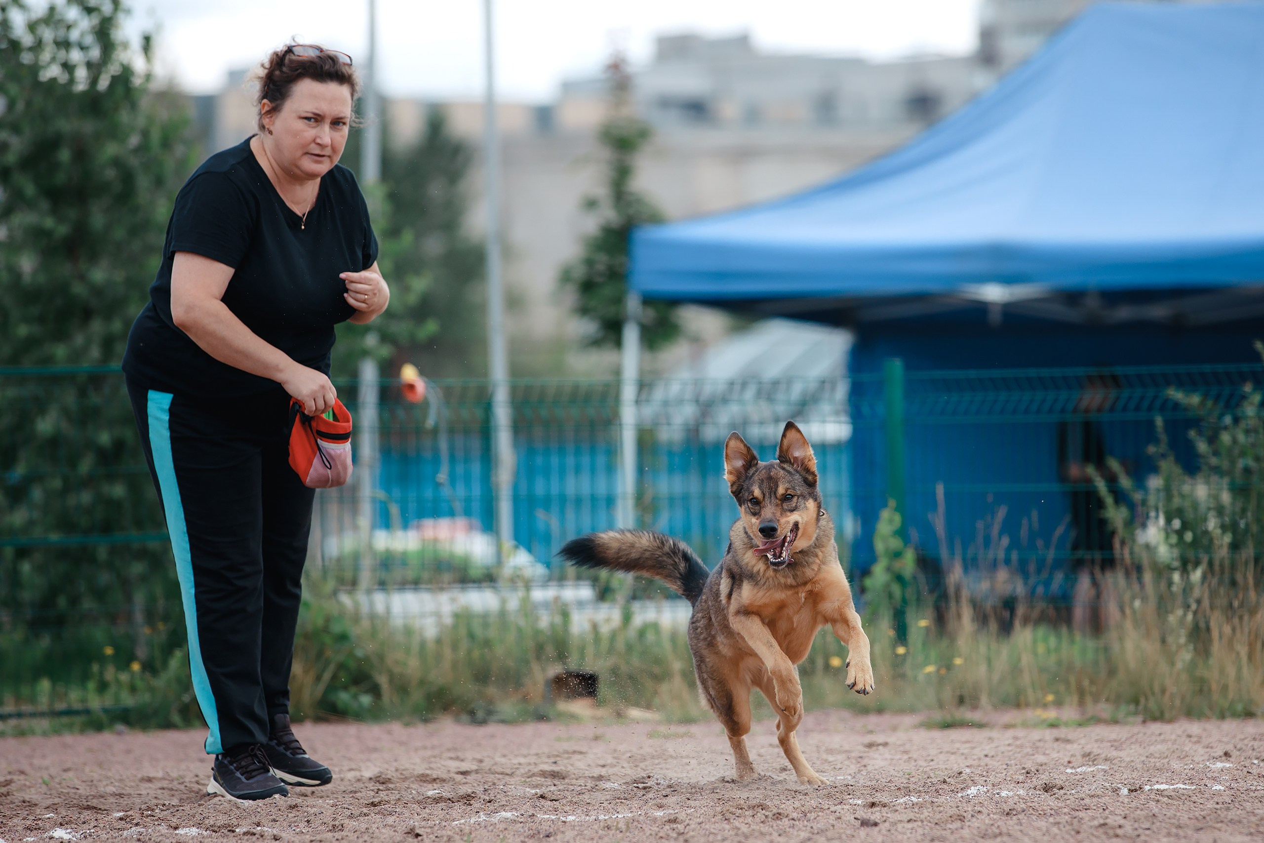 Питч&Гоу + веселые старты. Фотограф-анималист Mary Mart — Москва, Питер