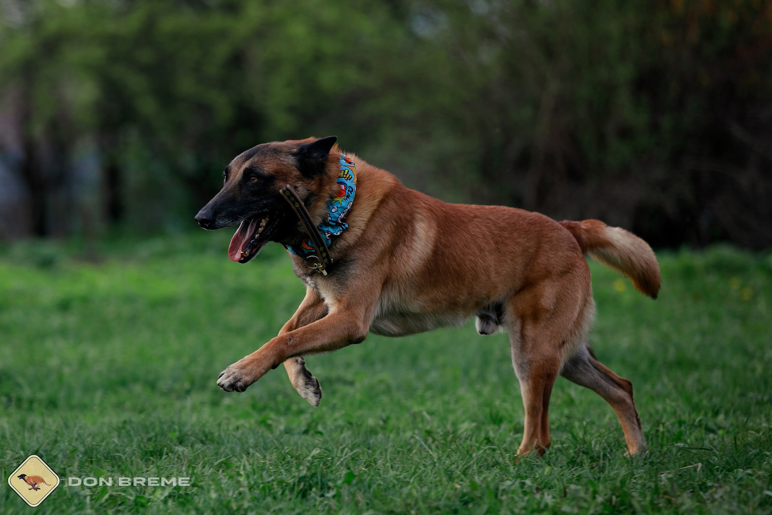 Семинар для фигурантов, день 2. Фотограф-анималист Mary Mart — Москва, Питер