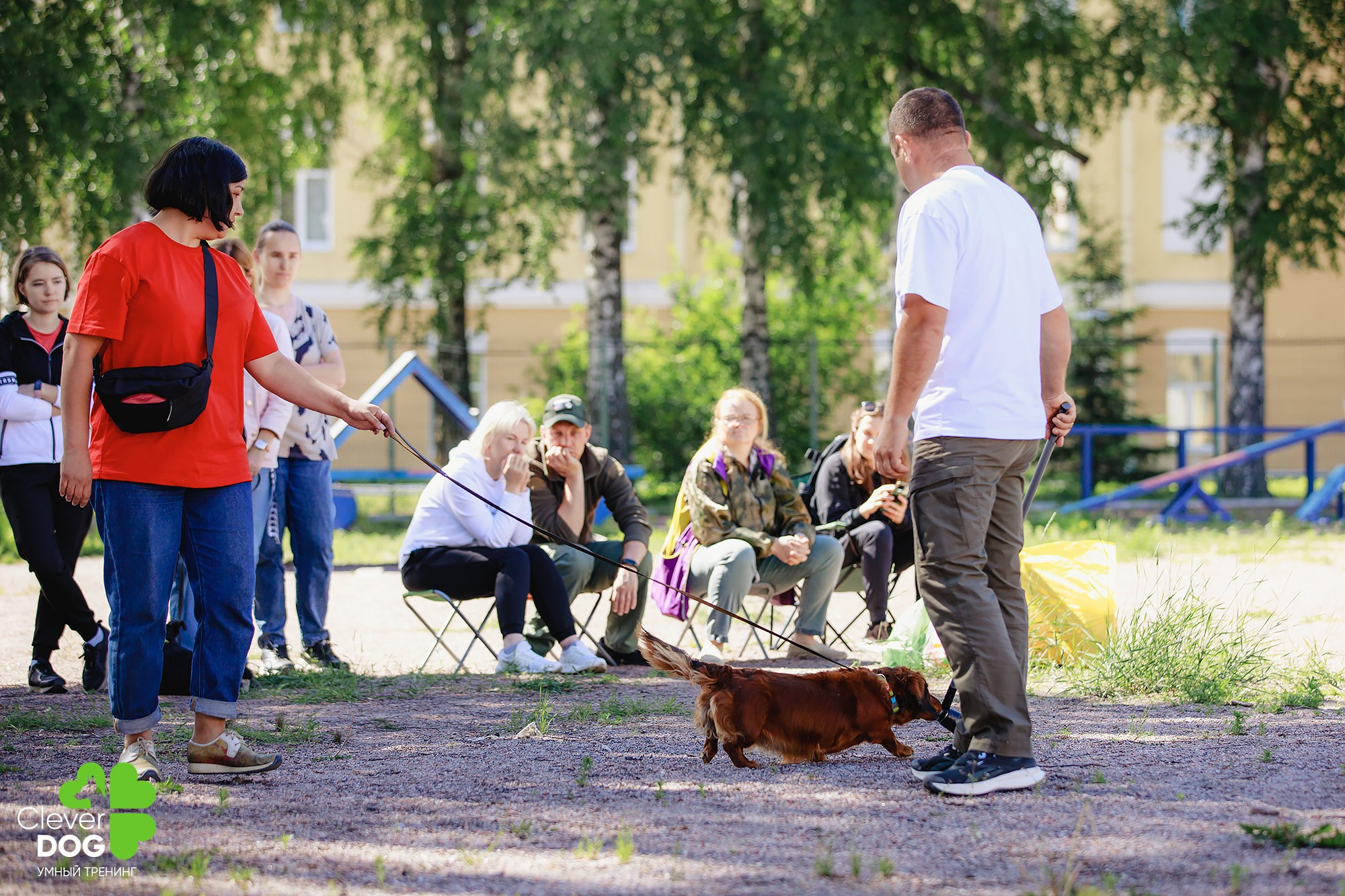 Семинар по поиску запаха с Иваном Ломовым, организатор CleverDog, СПб. Фотограф-анималист Mary Mart — Москва, Питер