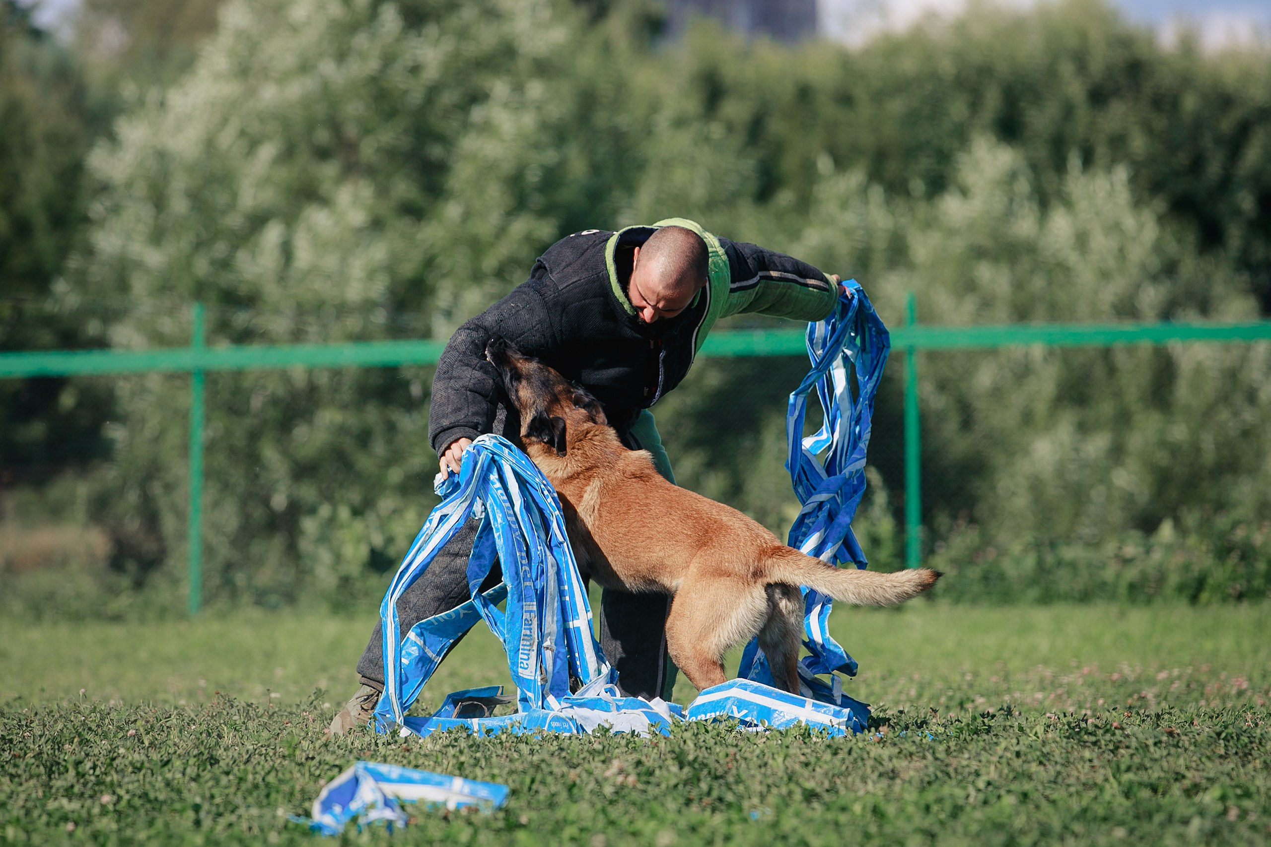 Мондьоринг М1, М2, М3, Вологда. Фотограф-анималист Mary Mart — Москва, Питер