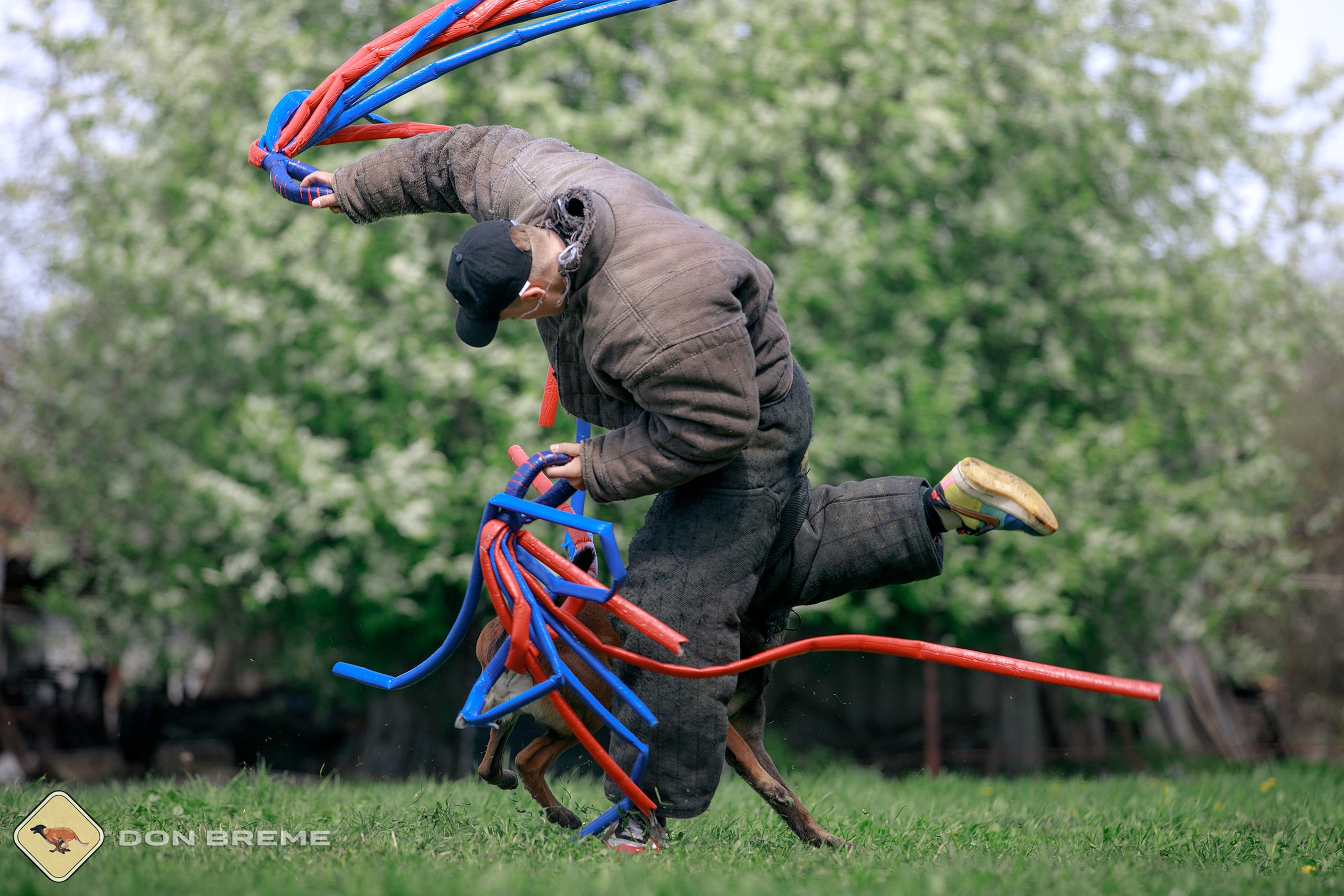 Семинар для фигурантов, день 4. Фотограф-анималист Mary Mart — Москва, Питер