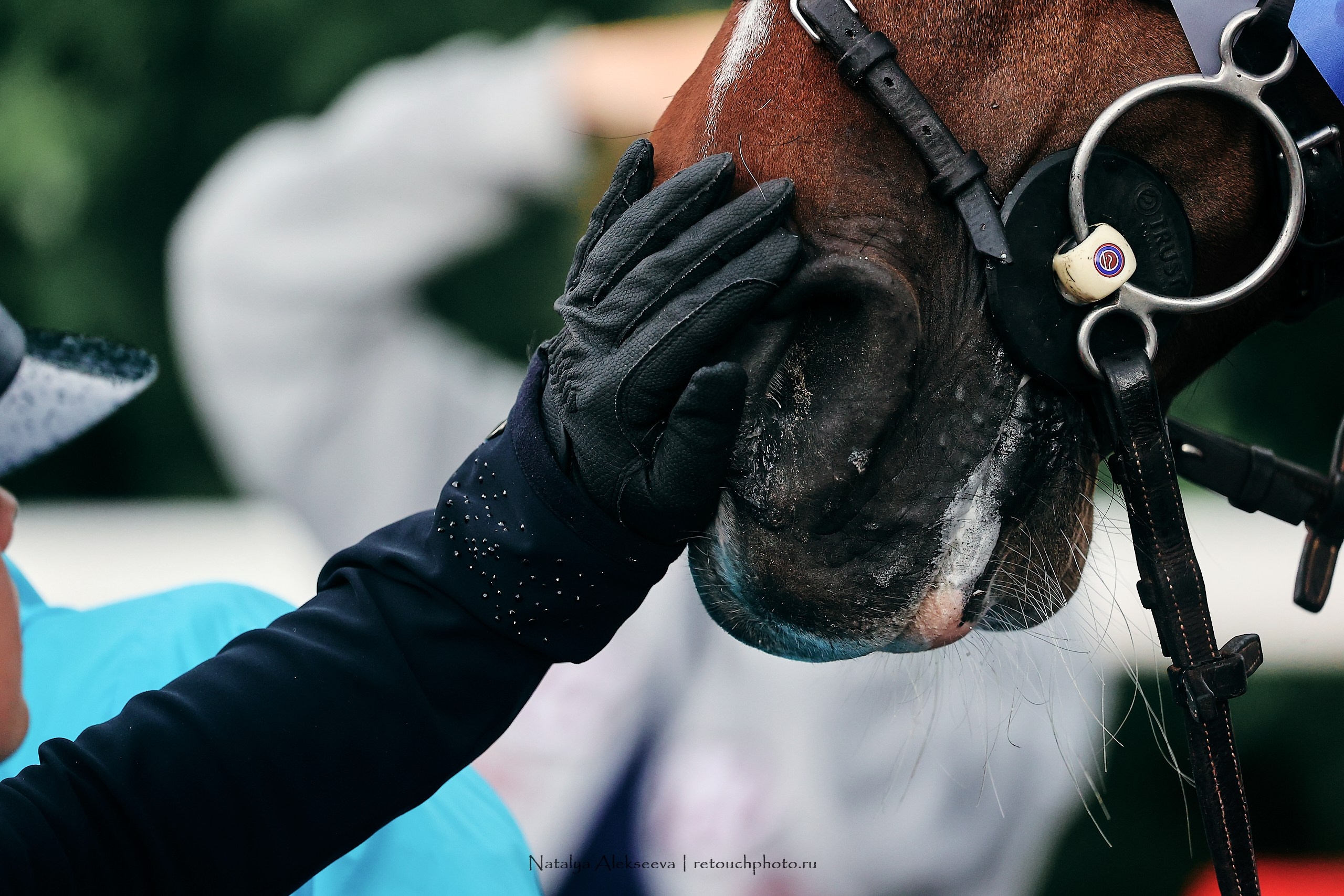 Евразийские игры по конкуру, Maxima Stables | 07'2023. Репортажный фотограф и ретушер в Москве Наталья Алексеева