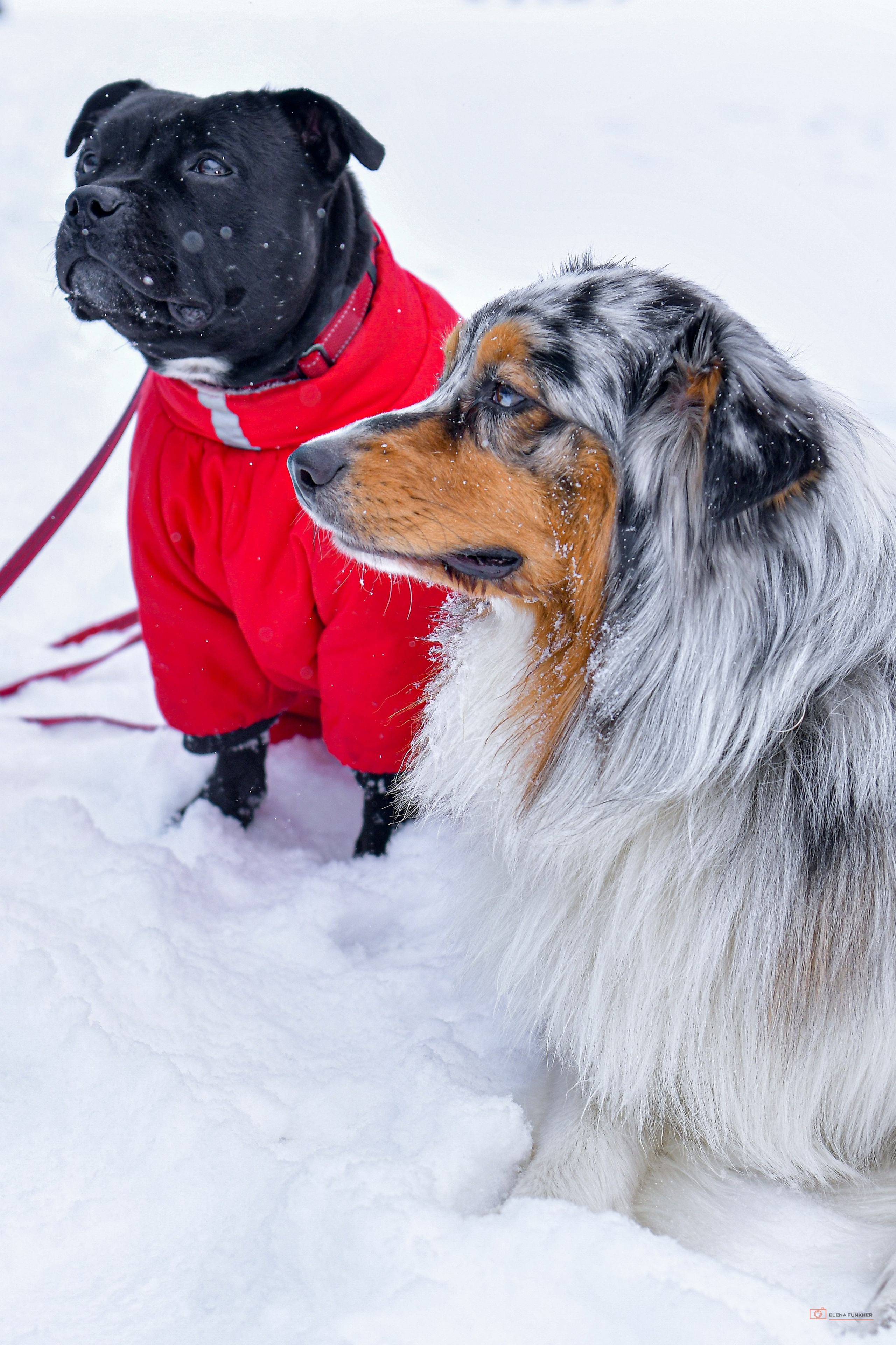 Зима. Свой взгляд через объектив