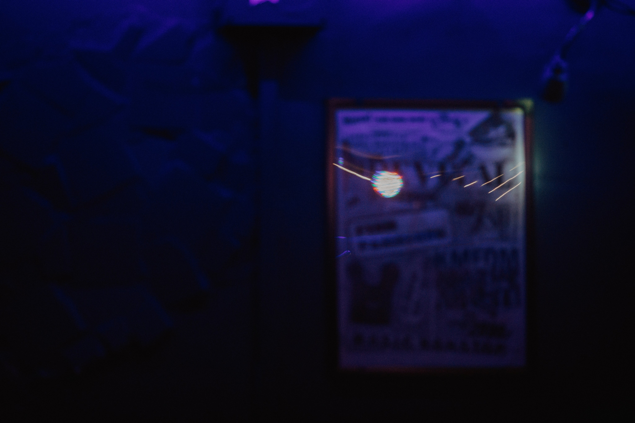 ФИРМЕННЫЙ ФЕСТ. Фотограф Елена Богачева (lenalena_na_na_na)