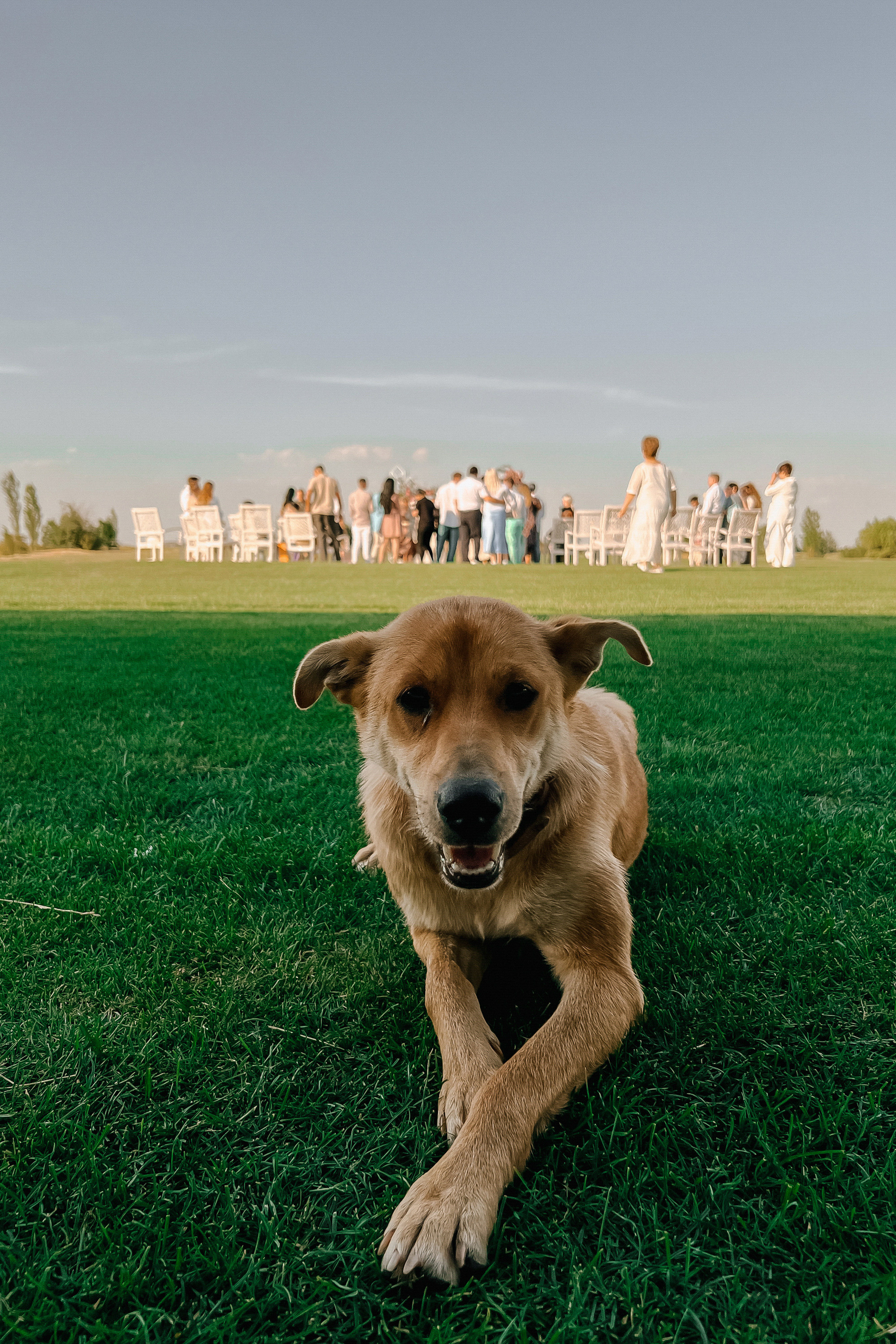Георгий и Галина (2022г). Свадебный фотограф в Ростове-на-Дону